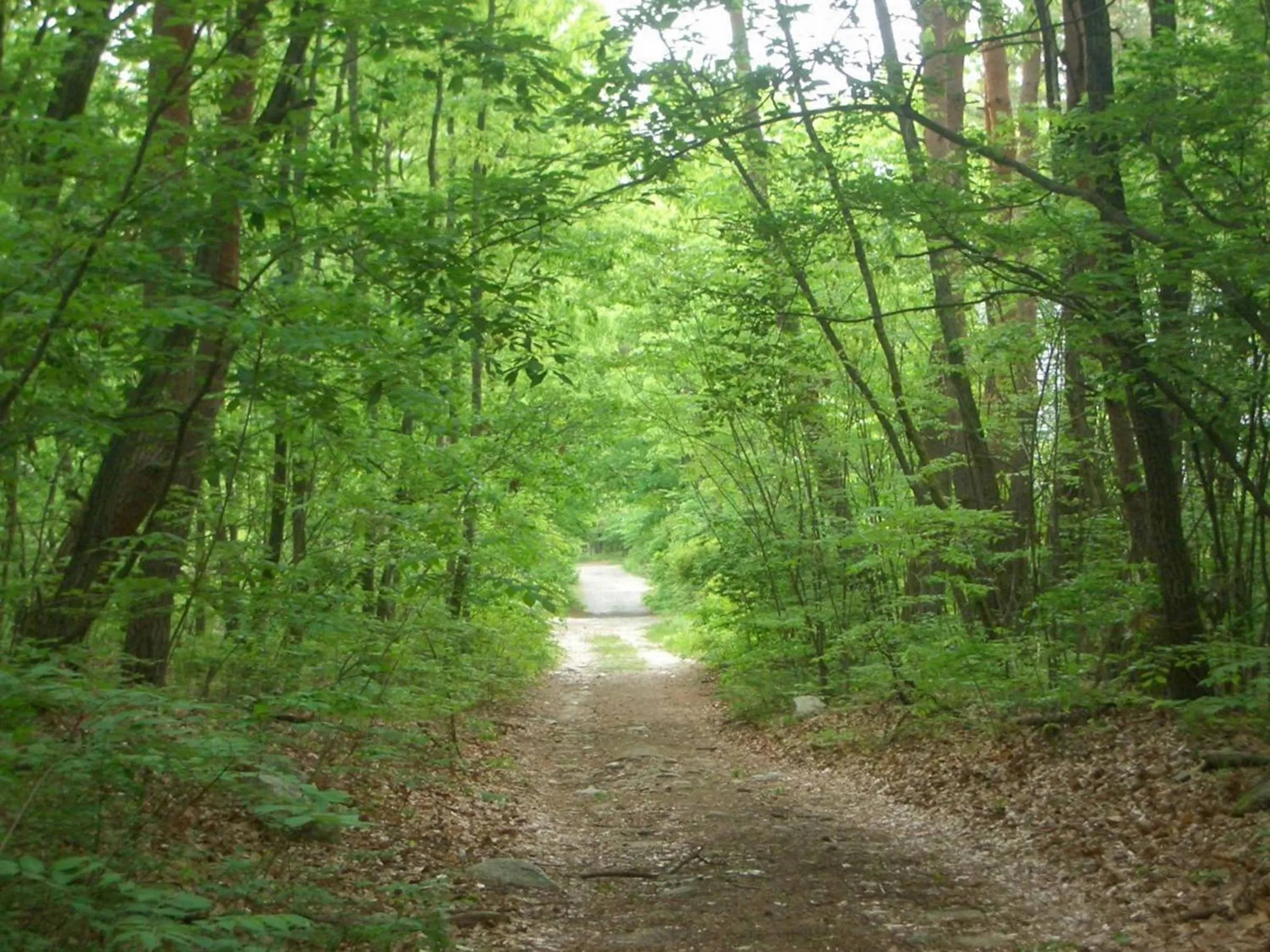 Neighbourhood in Canadian Loghouse Inn AzuminoYujin