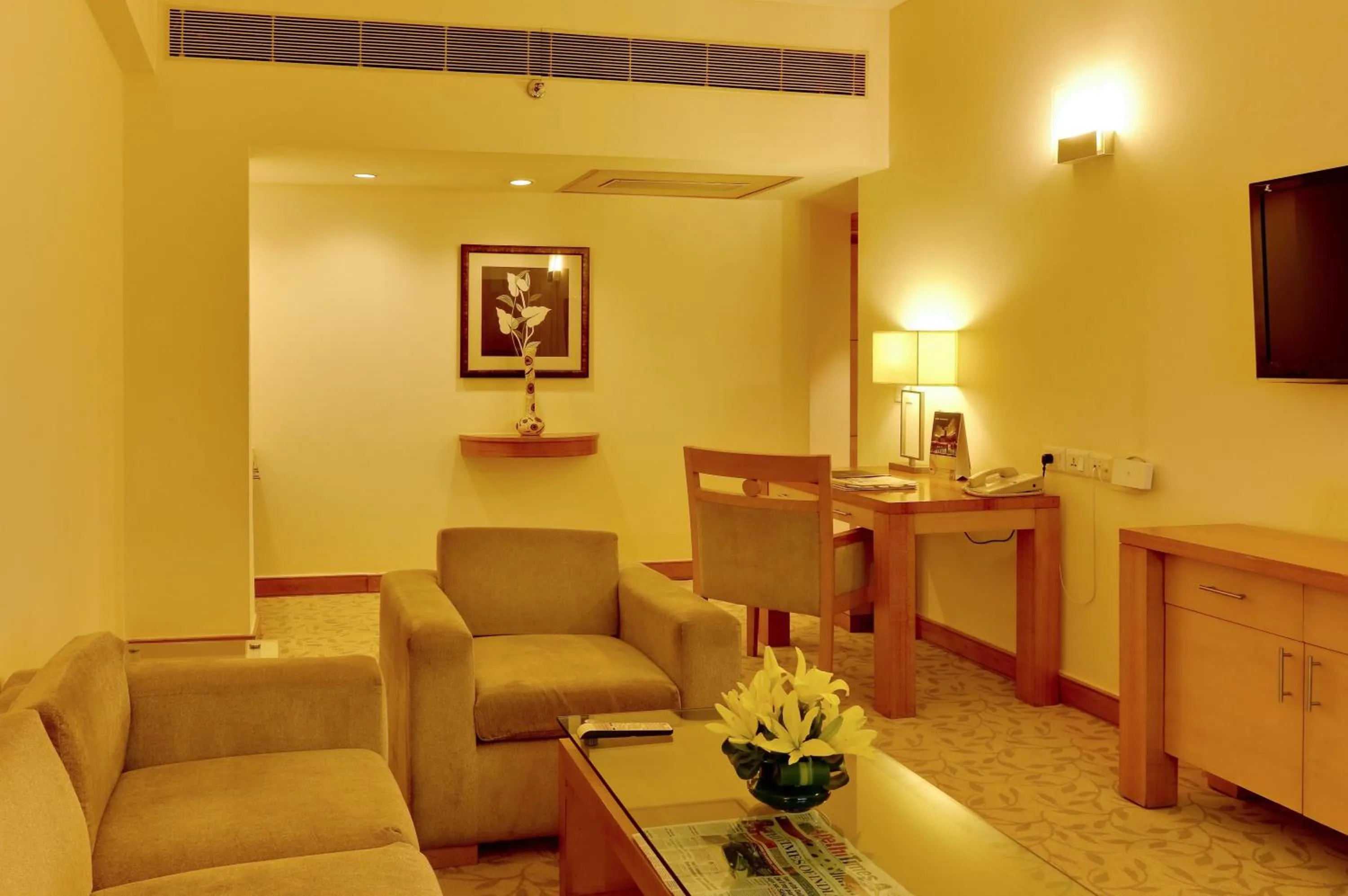 Living room in The Suryaa New Delhi