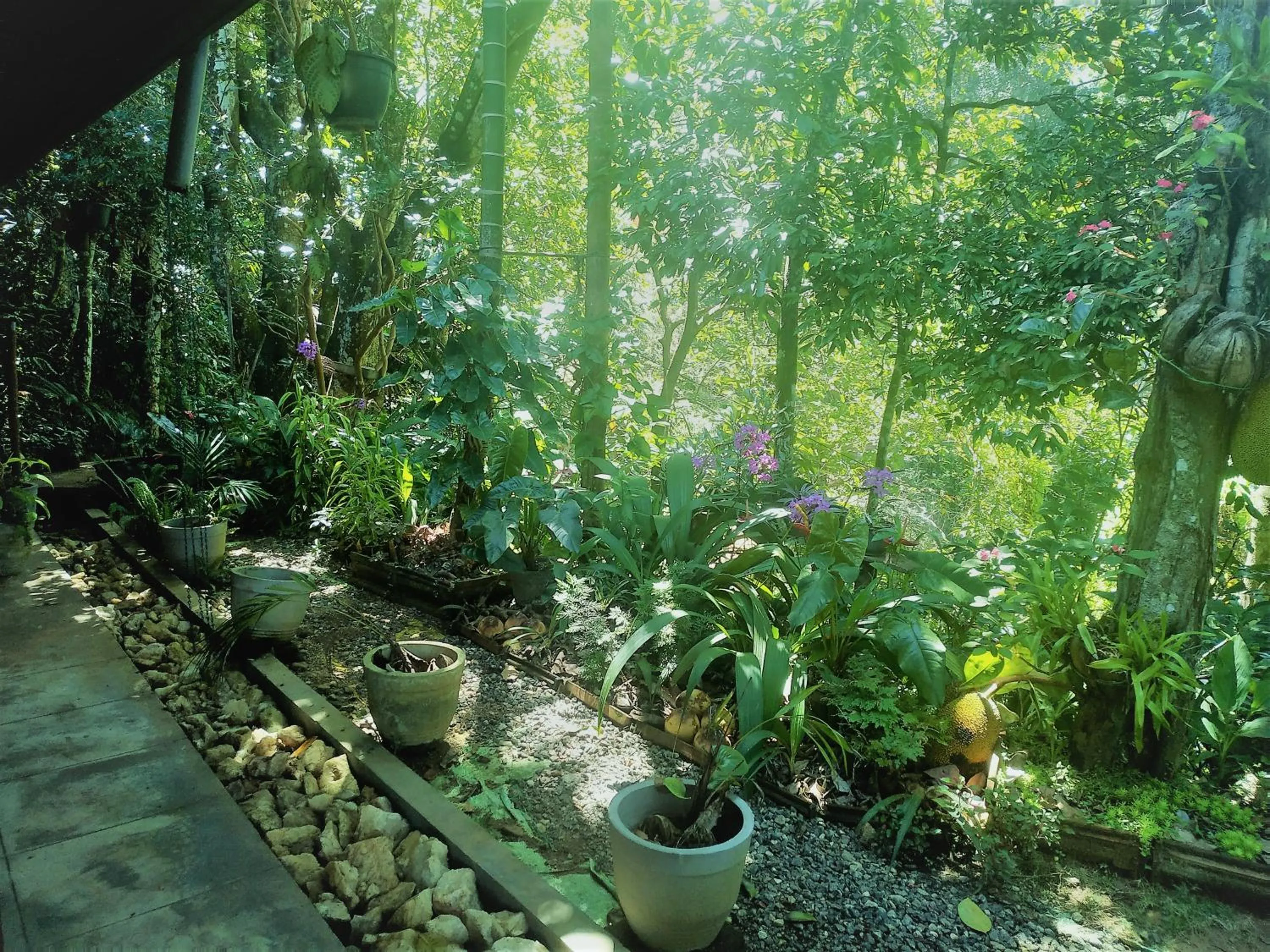 Samadhi Nature Resort