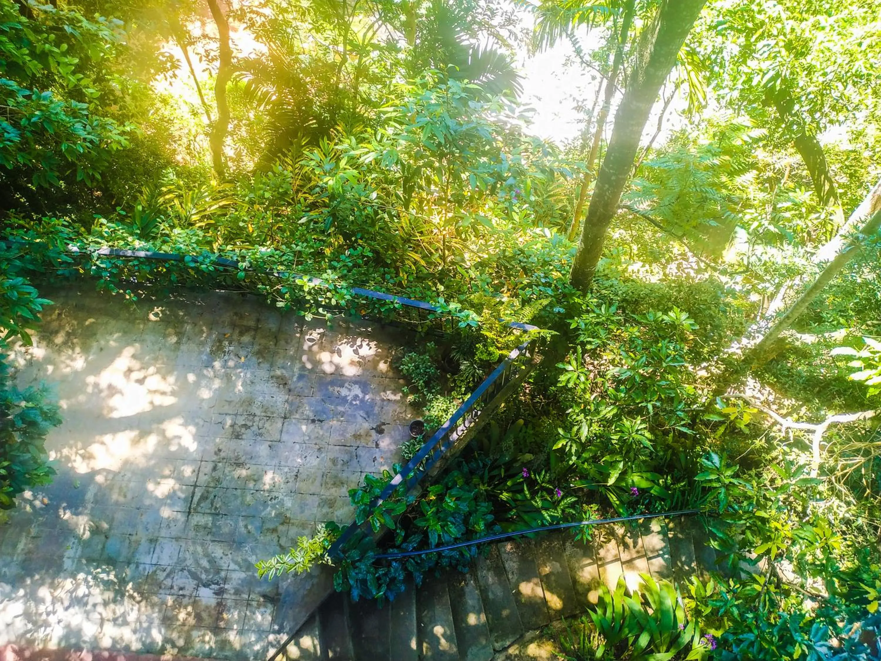 Garden in Samadhi Nature Resort