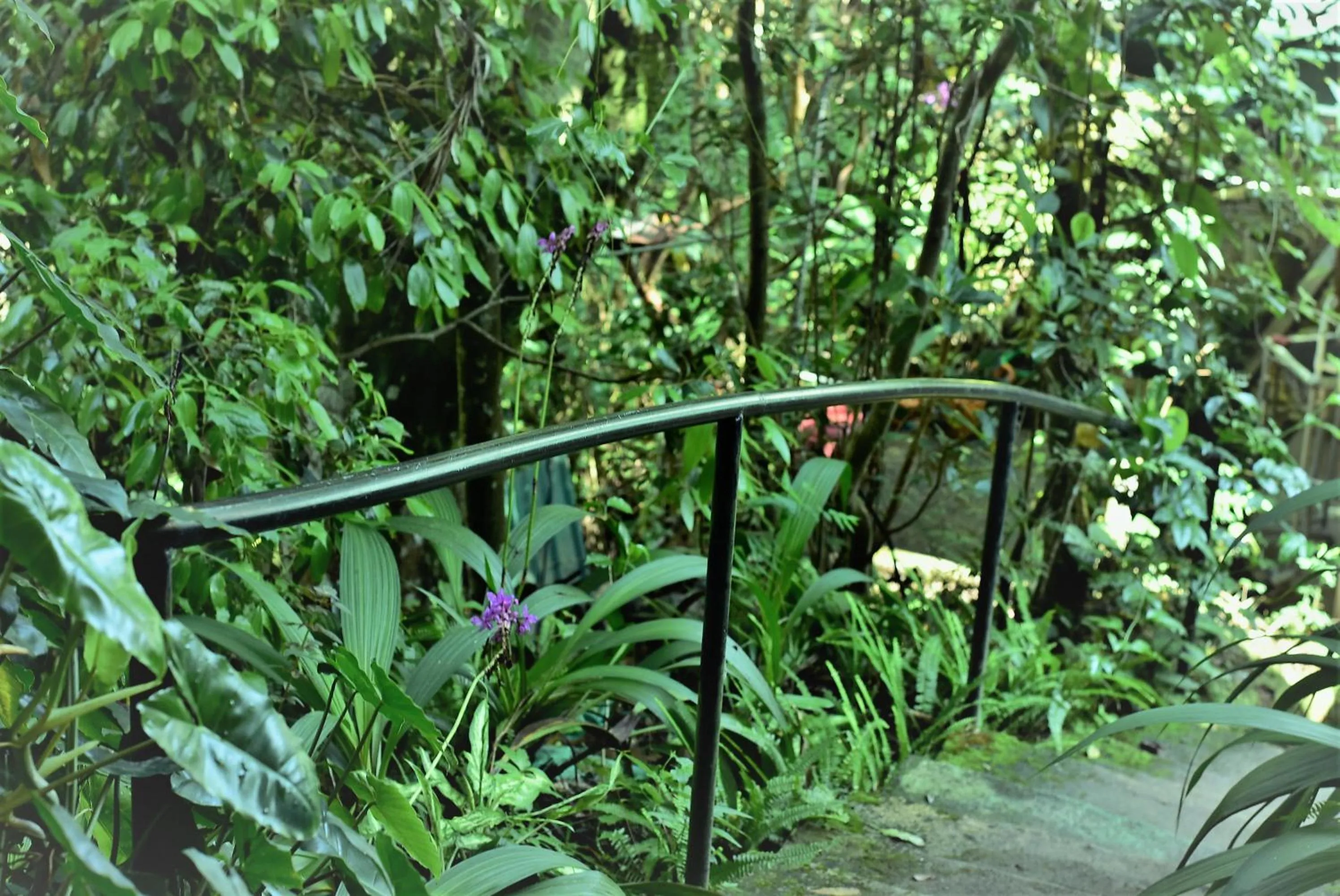 Samadhi Nature Resort