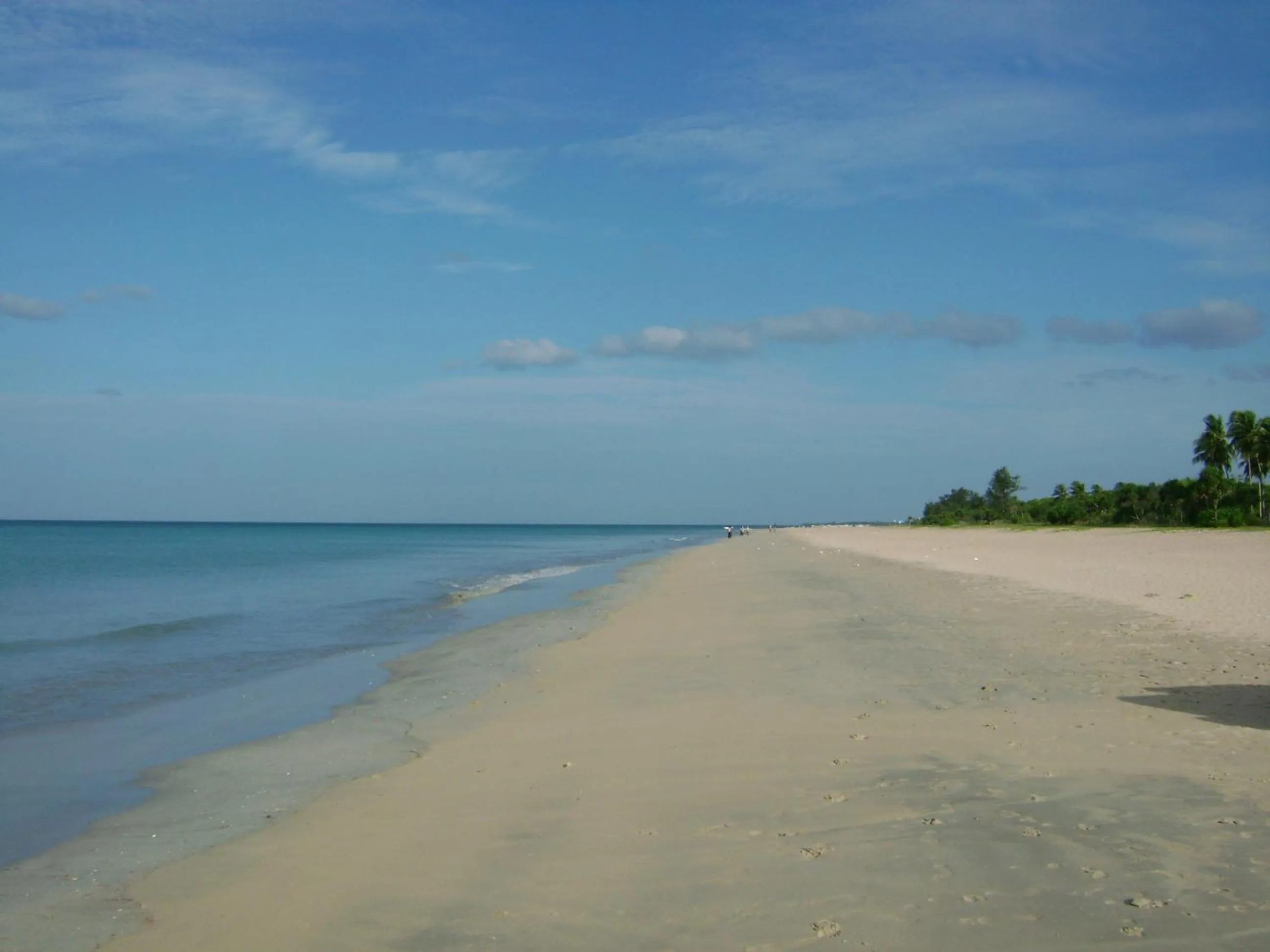 Beach in Pigeon Island Beach Resort and Spa