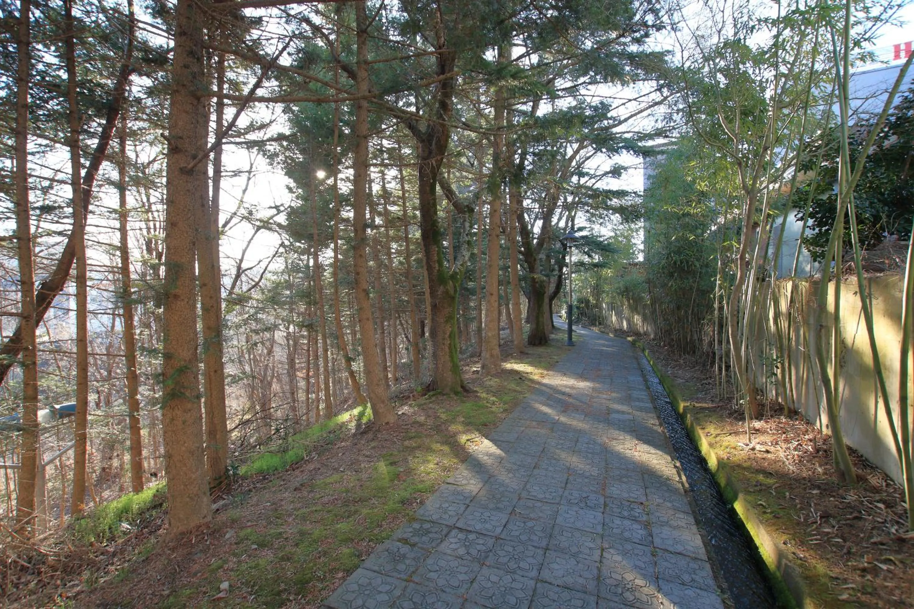 Natural landscape in Hotel Valentine Gyeongju