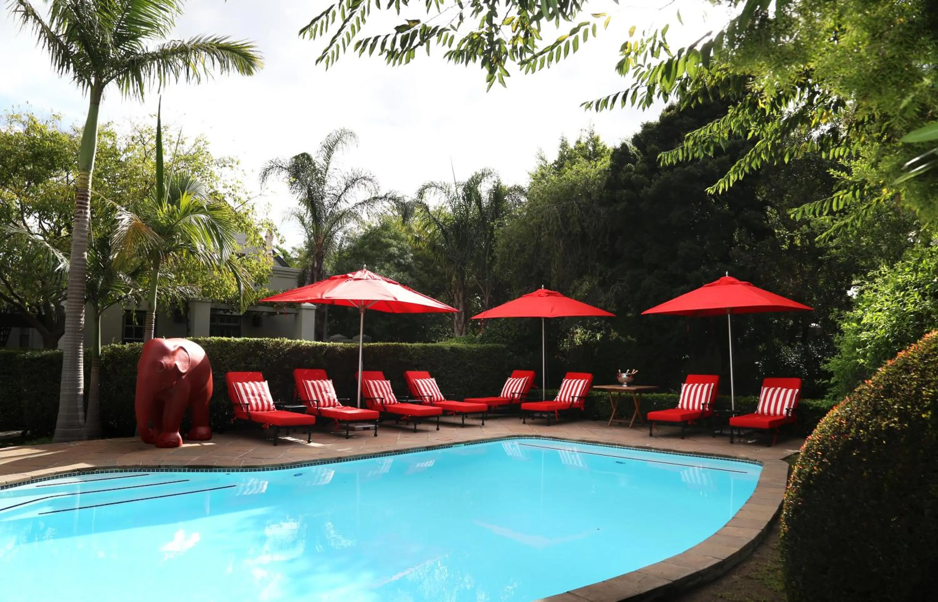 Garden in Avondrood Guest House by The Oyster Collection