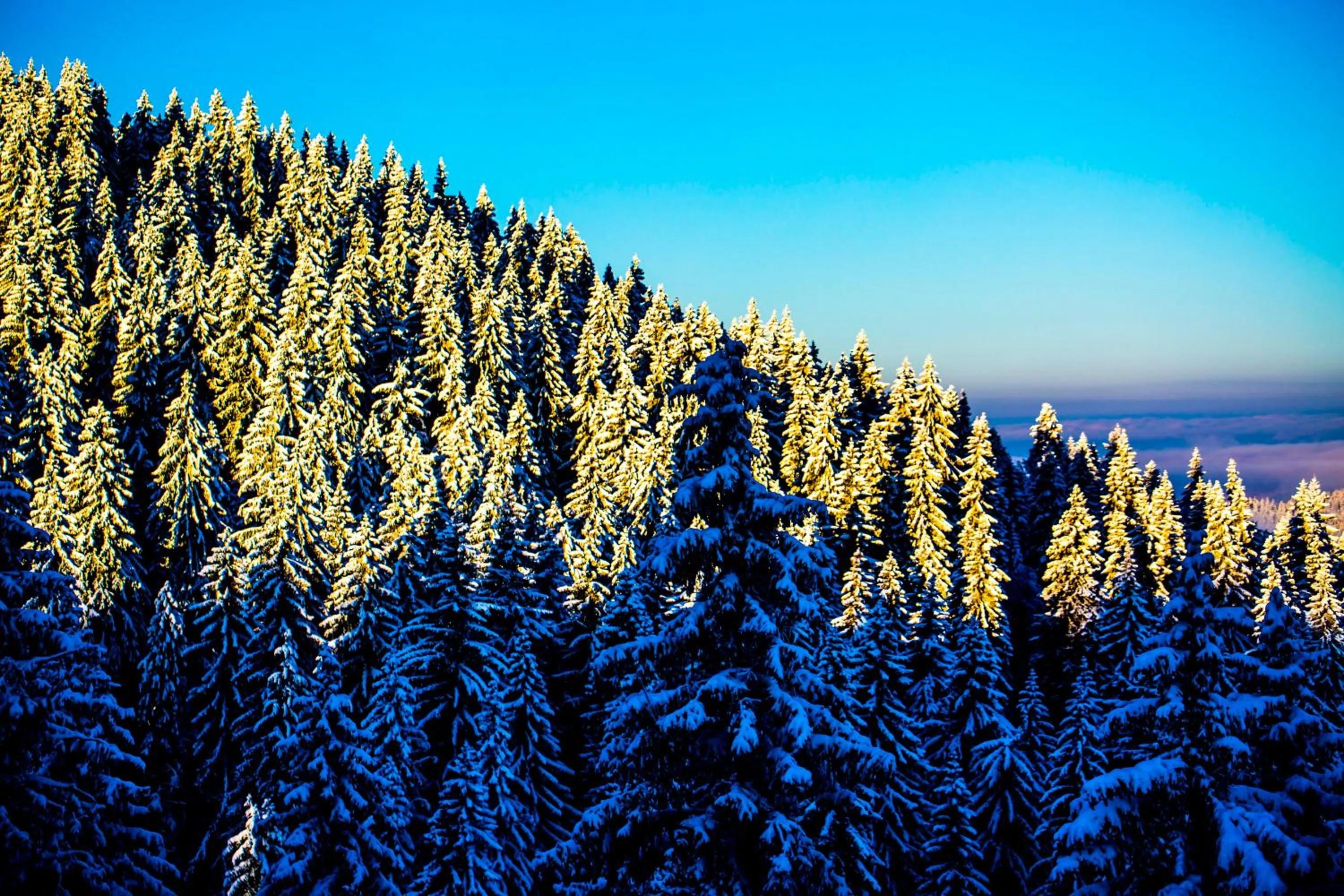 Sunny Hills Ski&Wellness