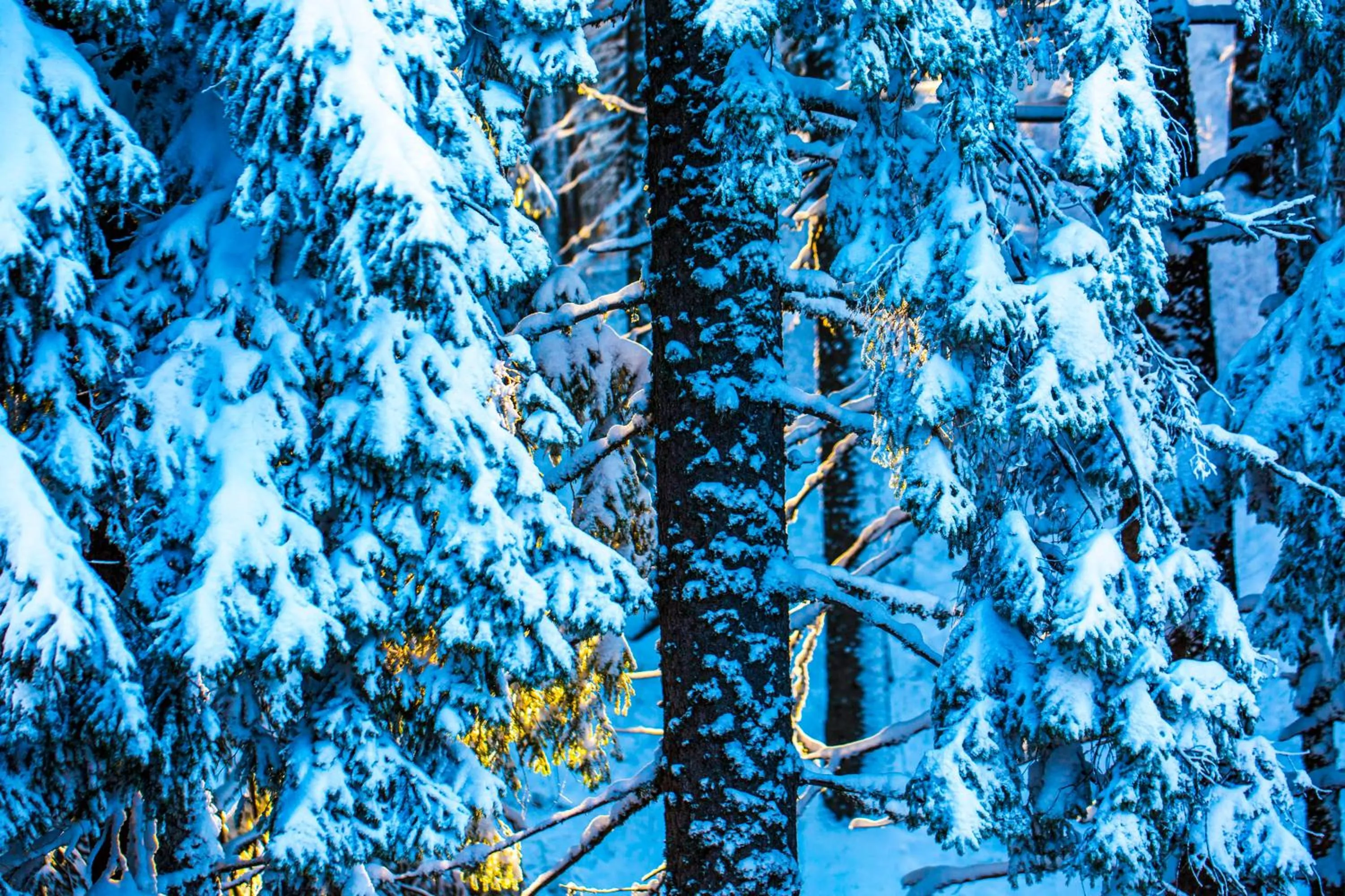 Sunny Hills Ski&Wellness