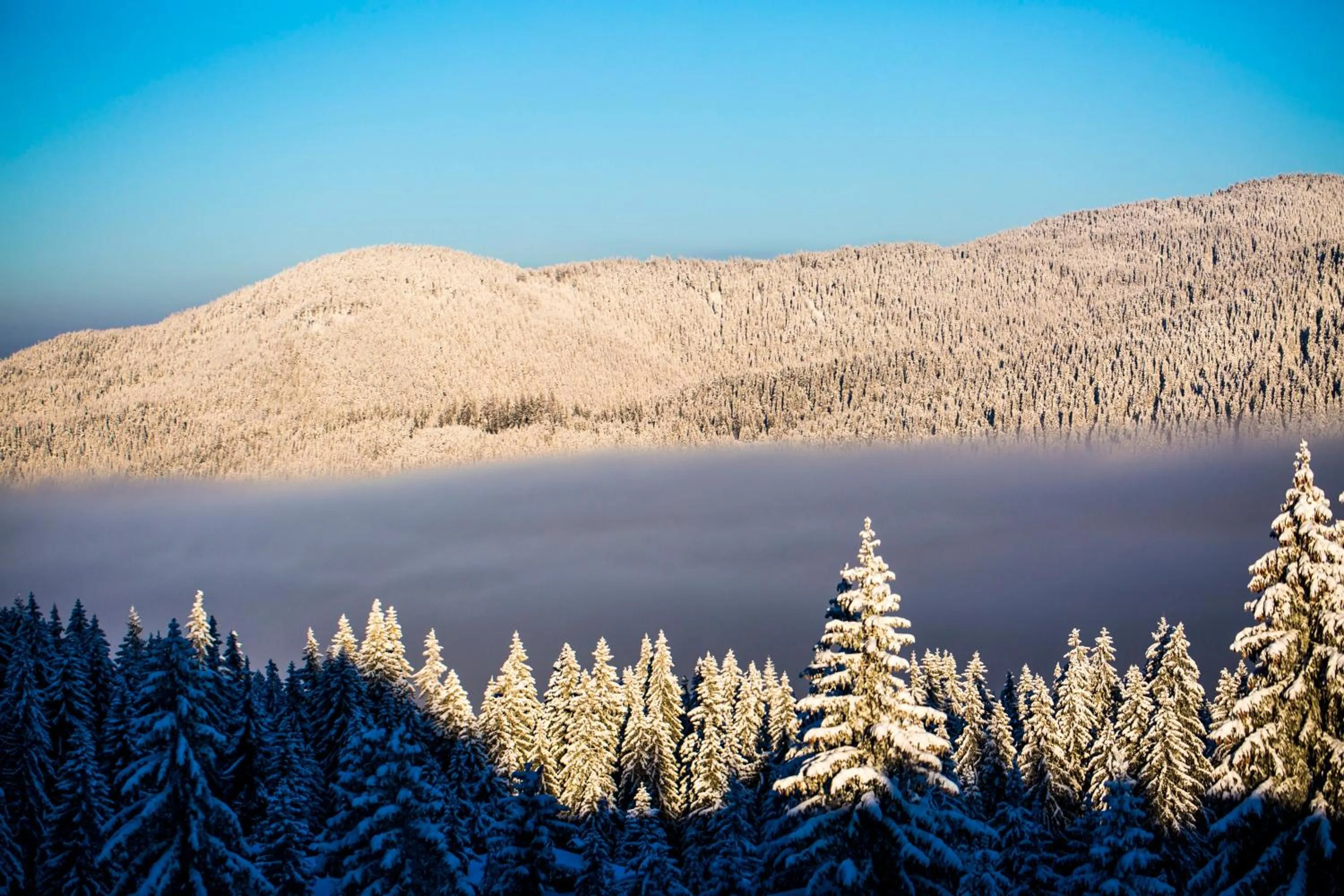 Sunny Hills Ski&Wellness