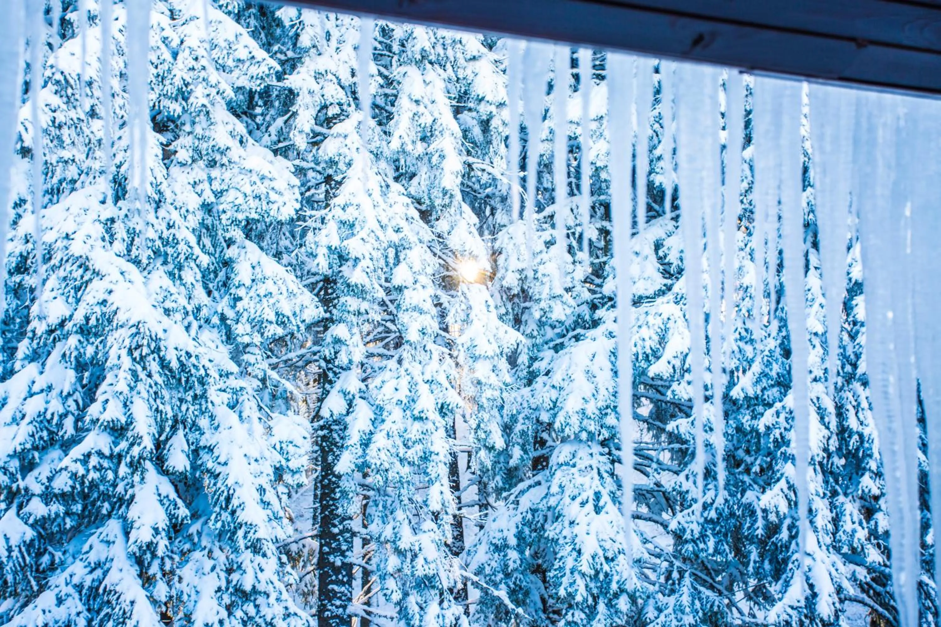 Sunny Hills Ski&Wellness