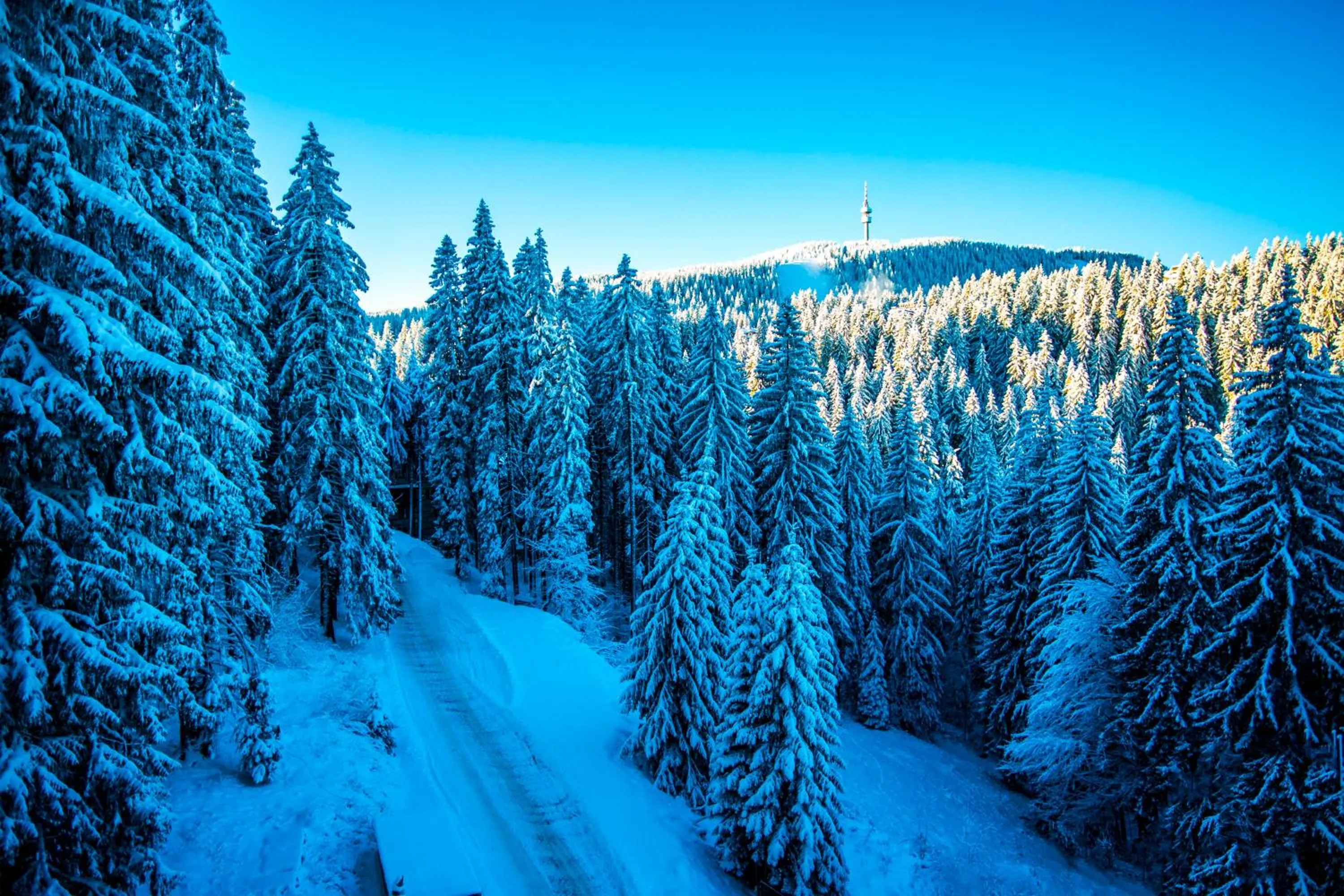 Sunny Hills Ski&Wellness