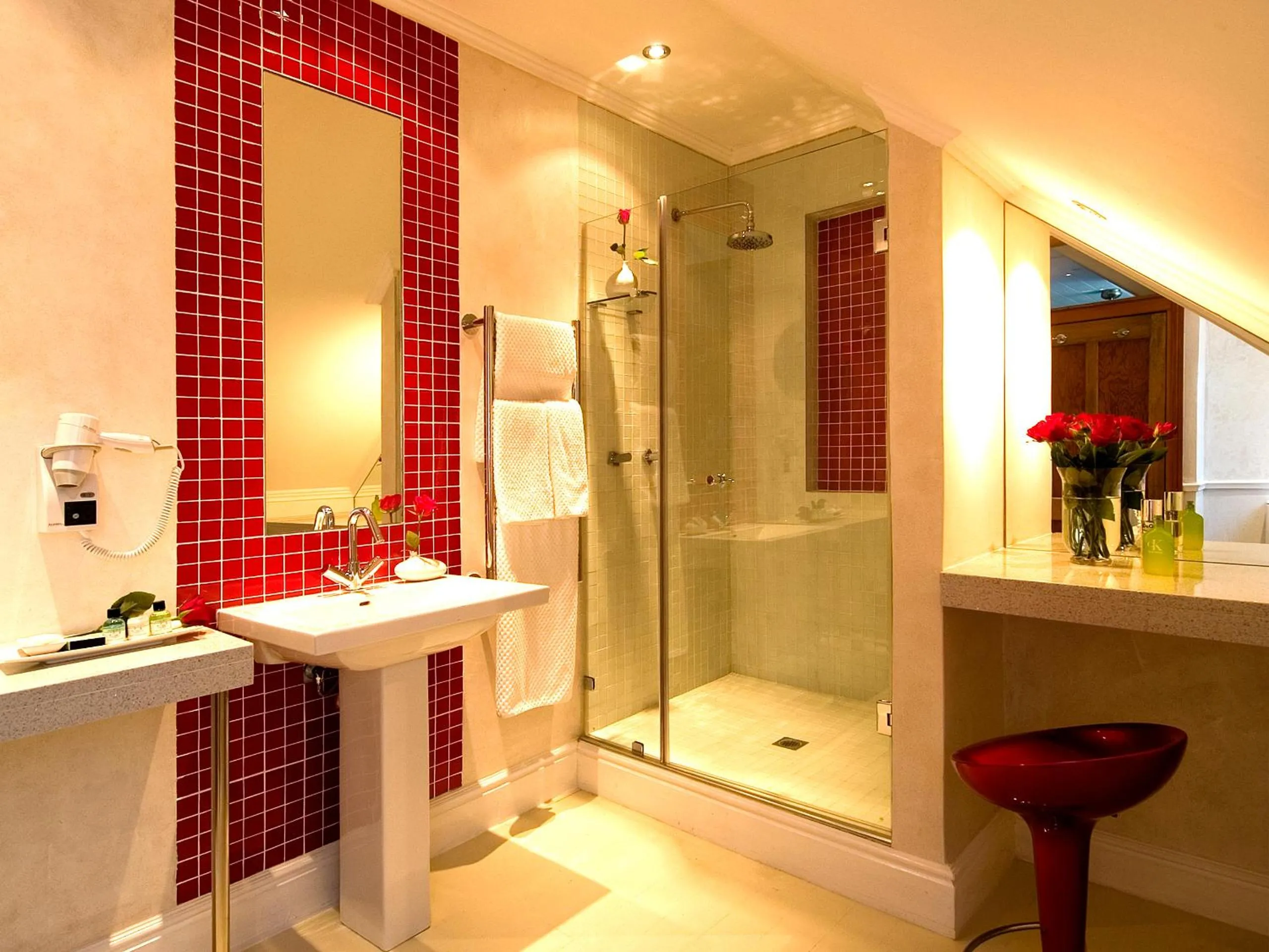 Shower in Falcons View Manor