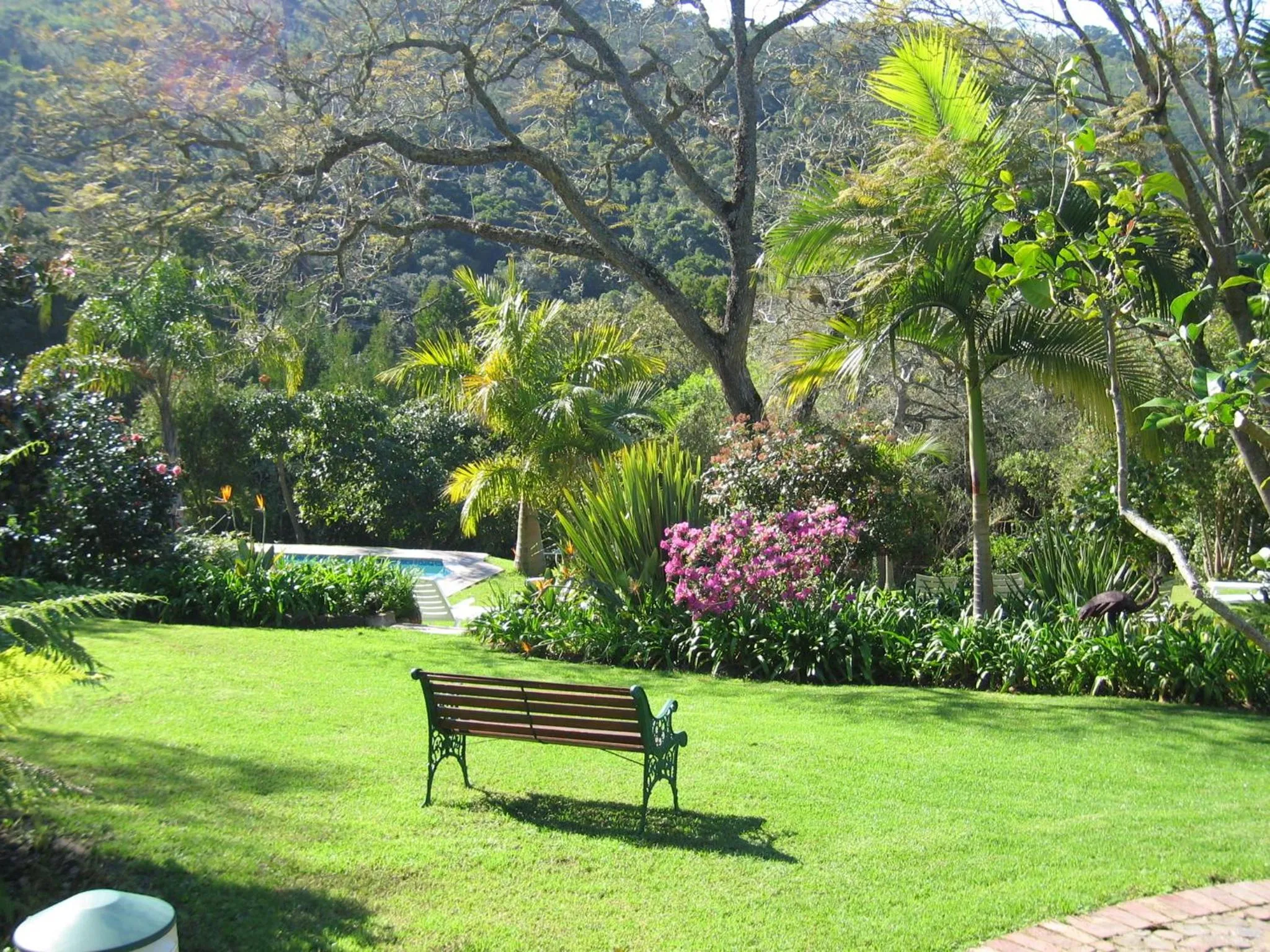 Garden in Falcons View Manor