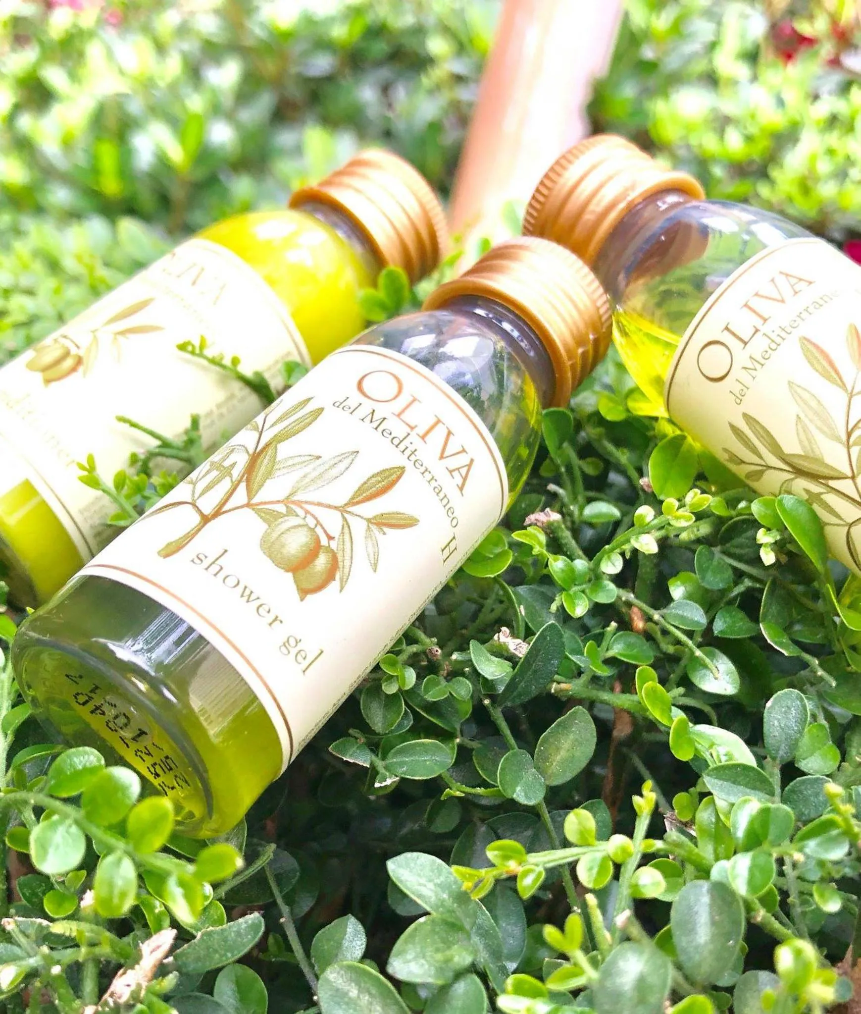 Other in Sun Moon Lake Blue Sky Bay B&B