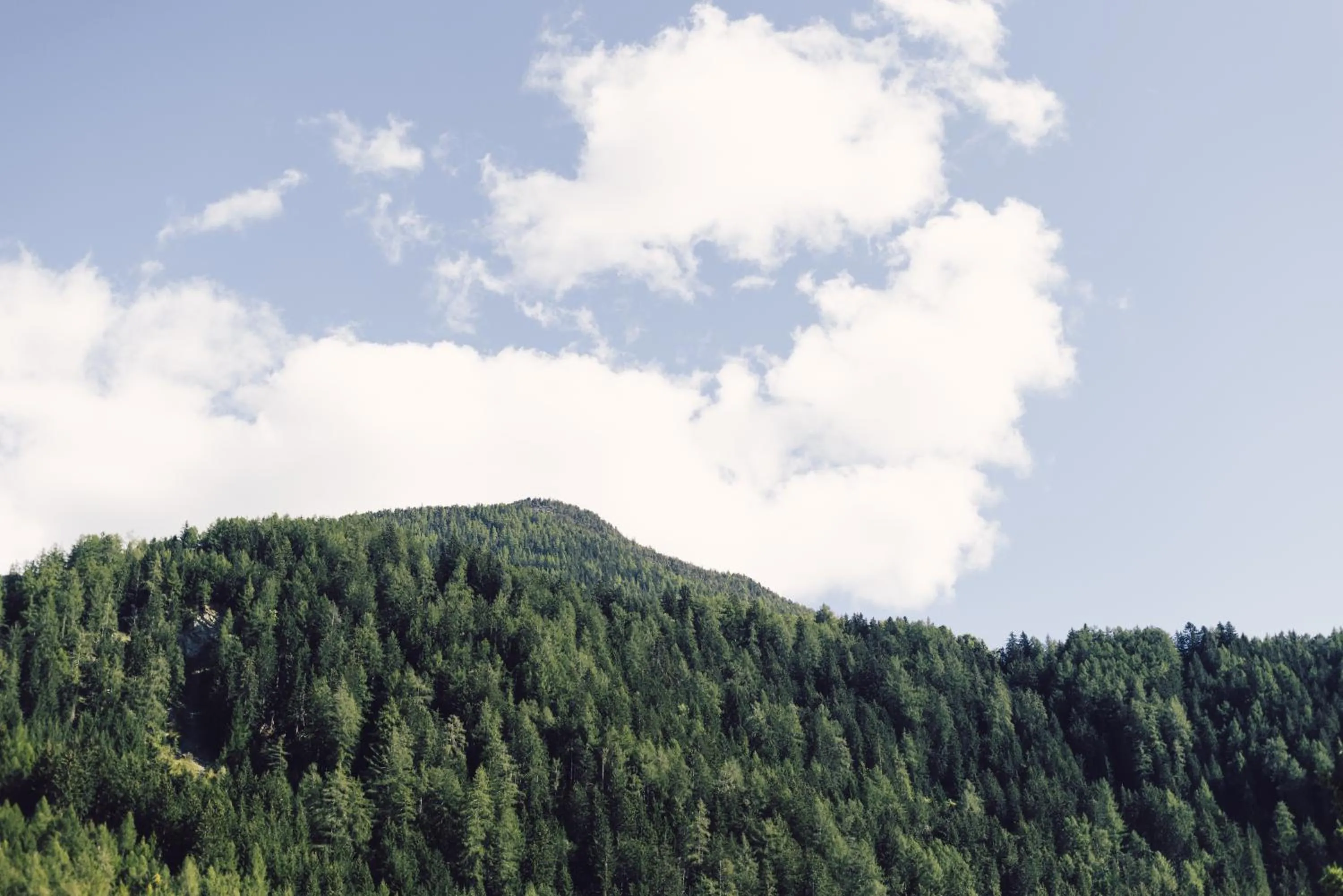 Natural landscape in Posthotel