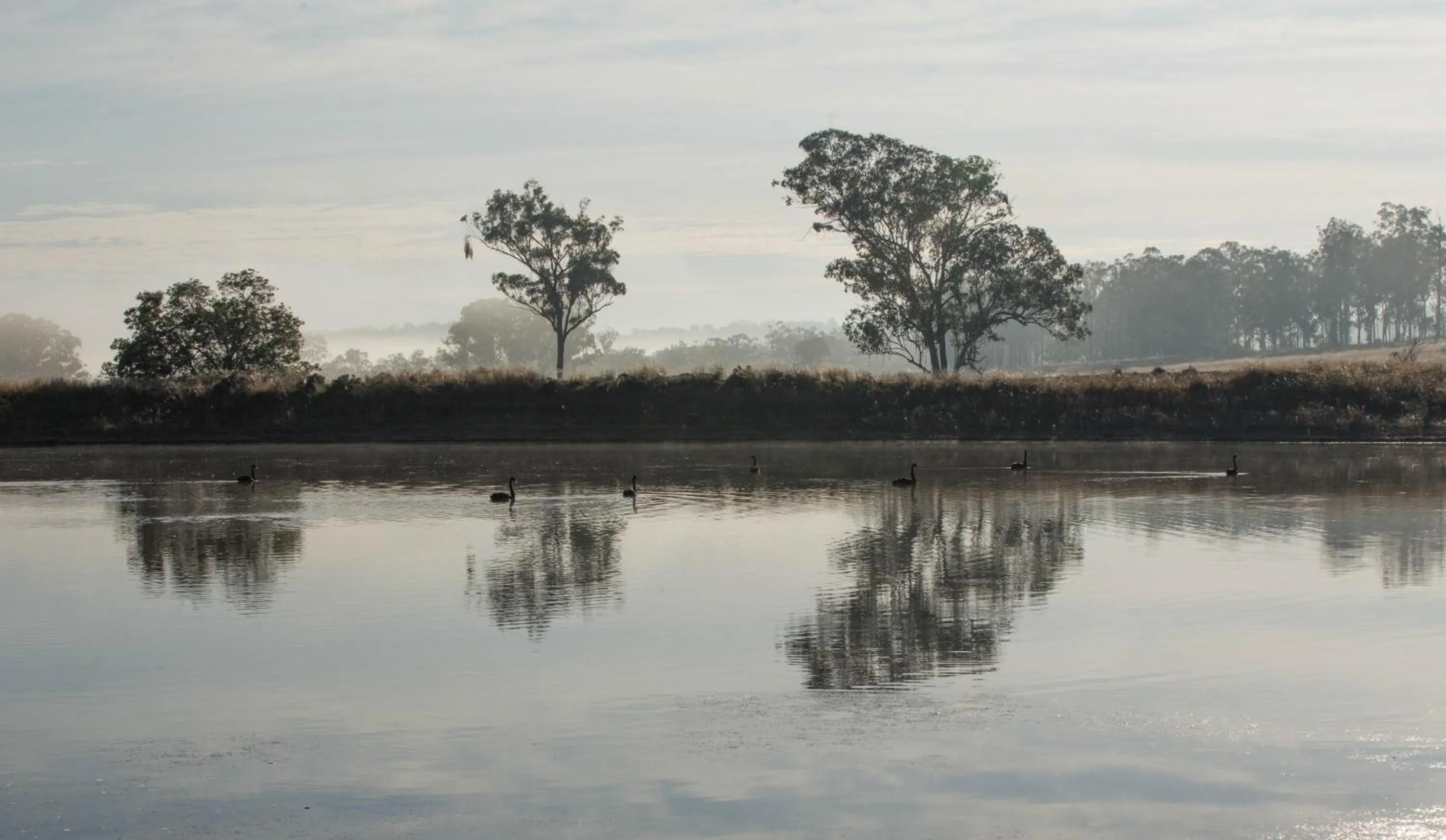 Natural landscape in The Block Vista B&B