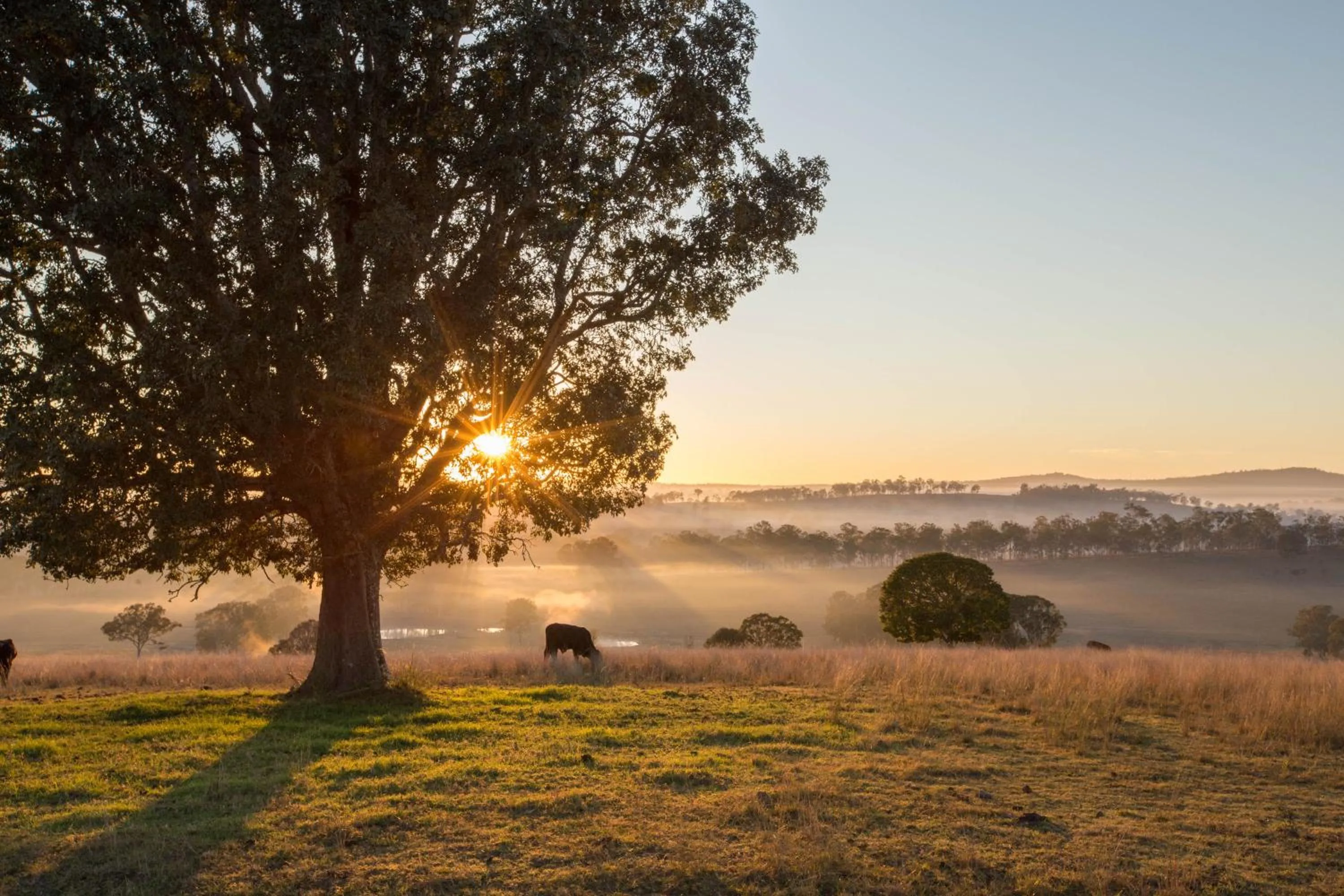 Natural landscape in The Block Vista B&B