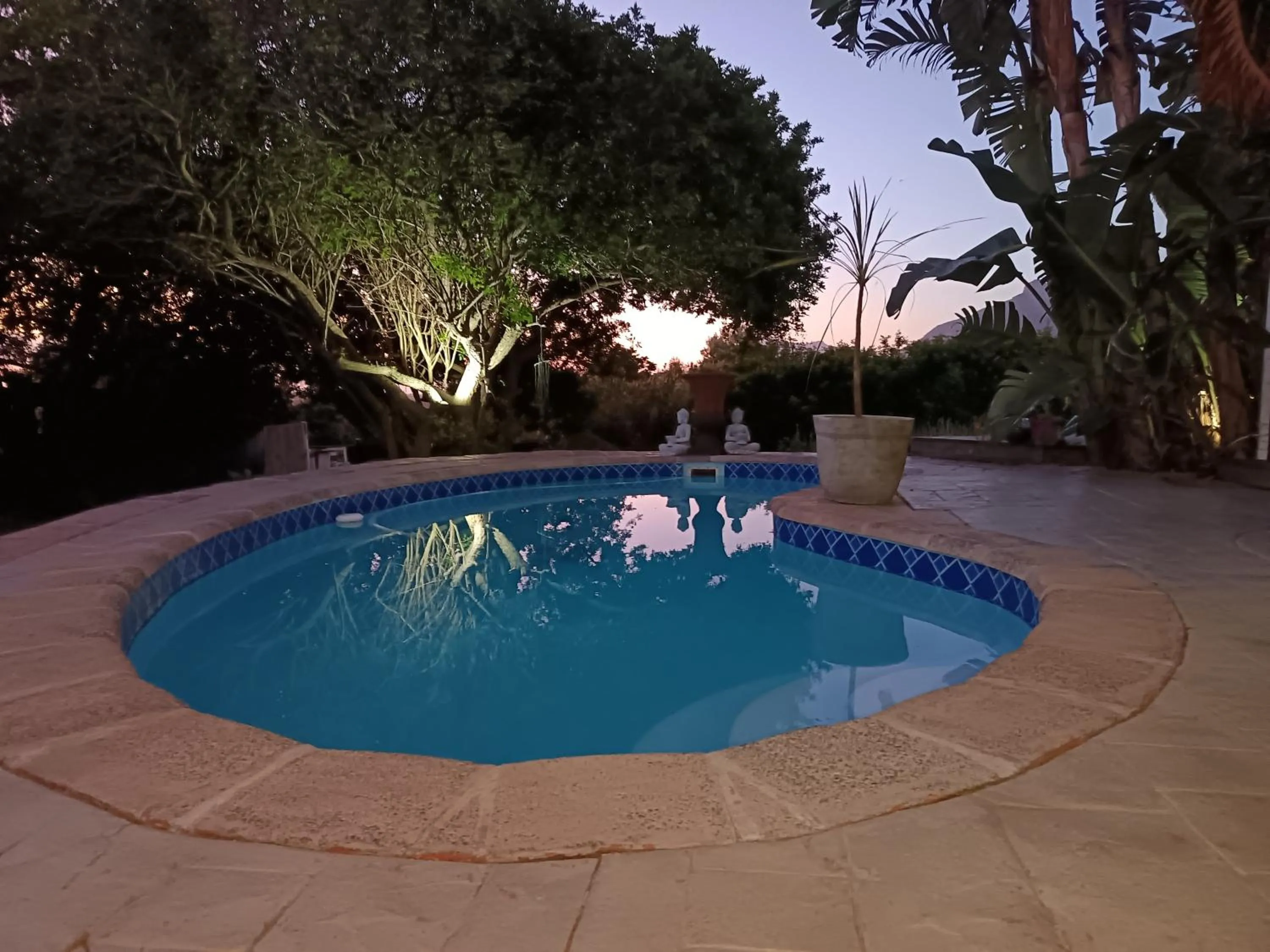 Night in Happy Homes - Imhoffs Gift