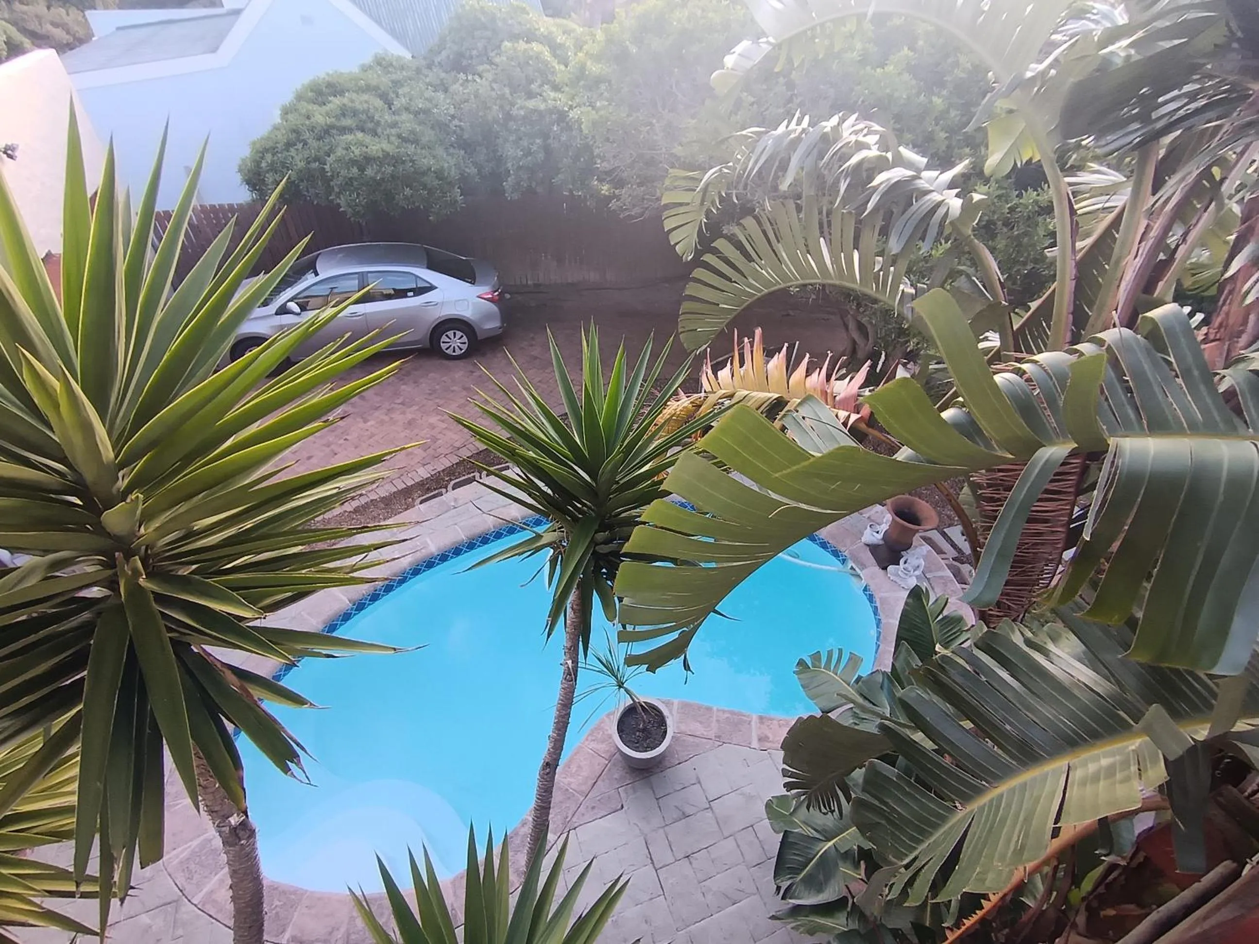 Garden in Happy Homes - Imhoffs Gift