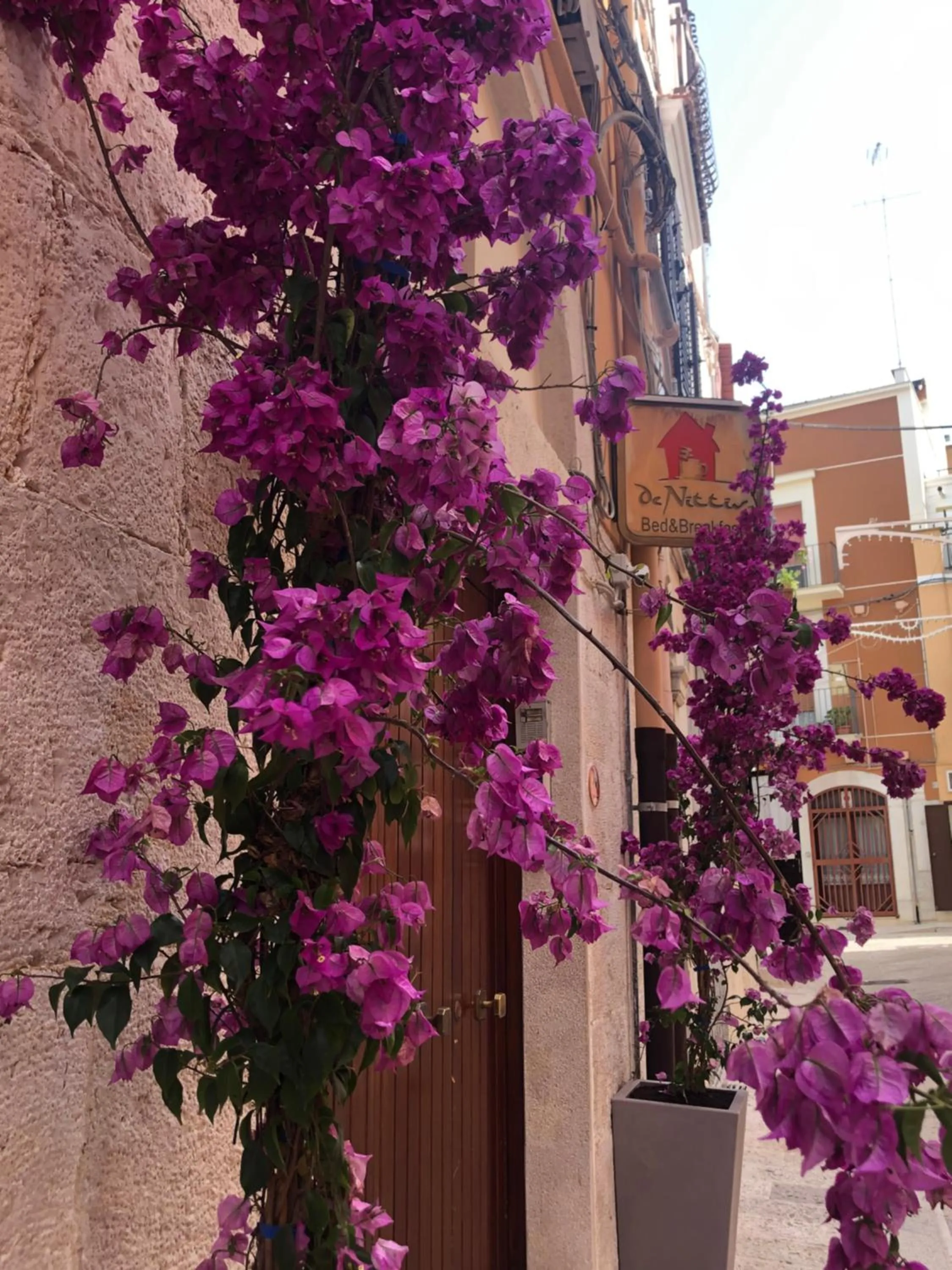 Property building in Bed & Breakfast De Nittis