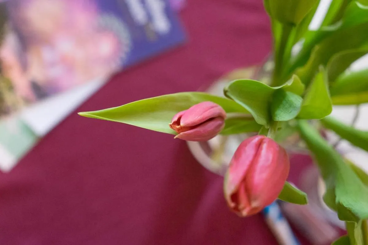 Strandpension Mäder