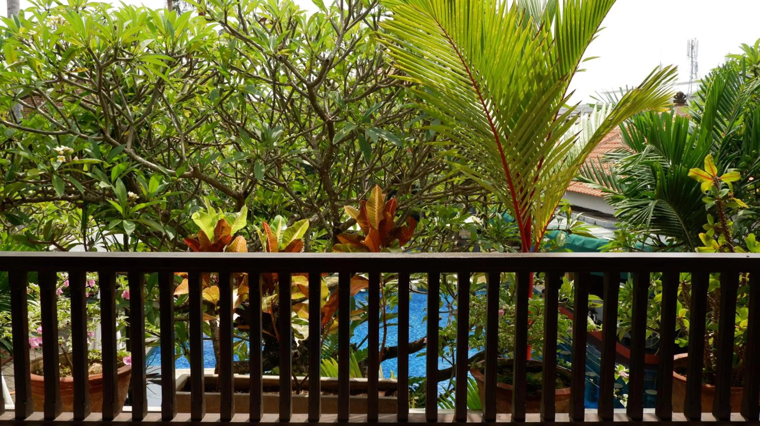 Balcony/Terrace in Swastika Bungalows