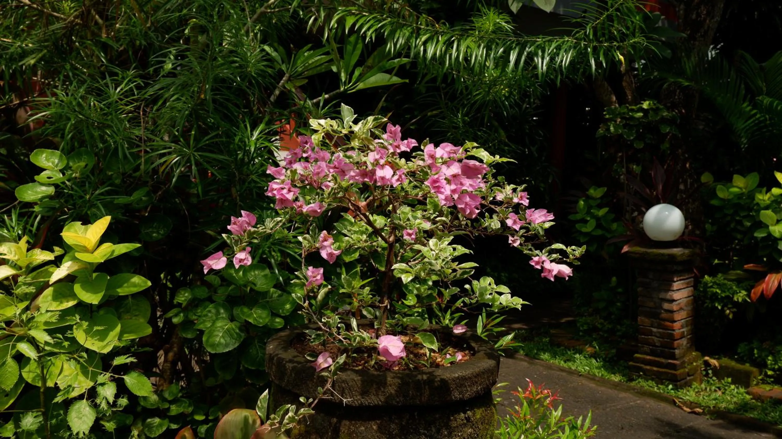 Day in Swastika Bungalows