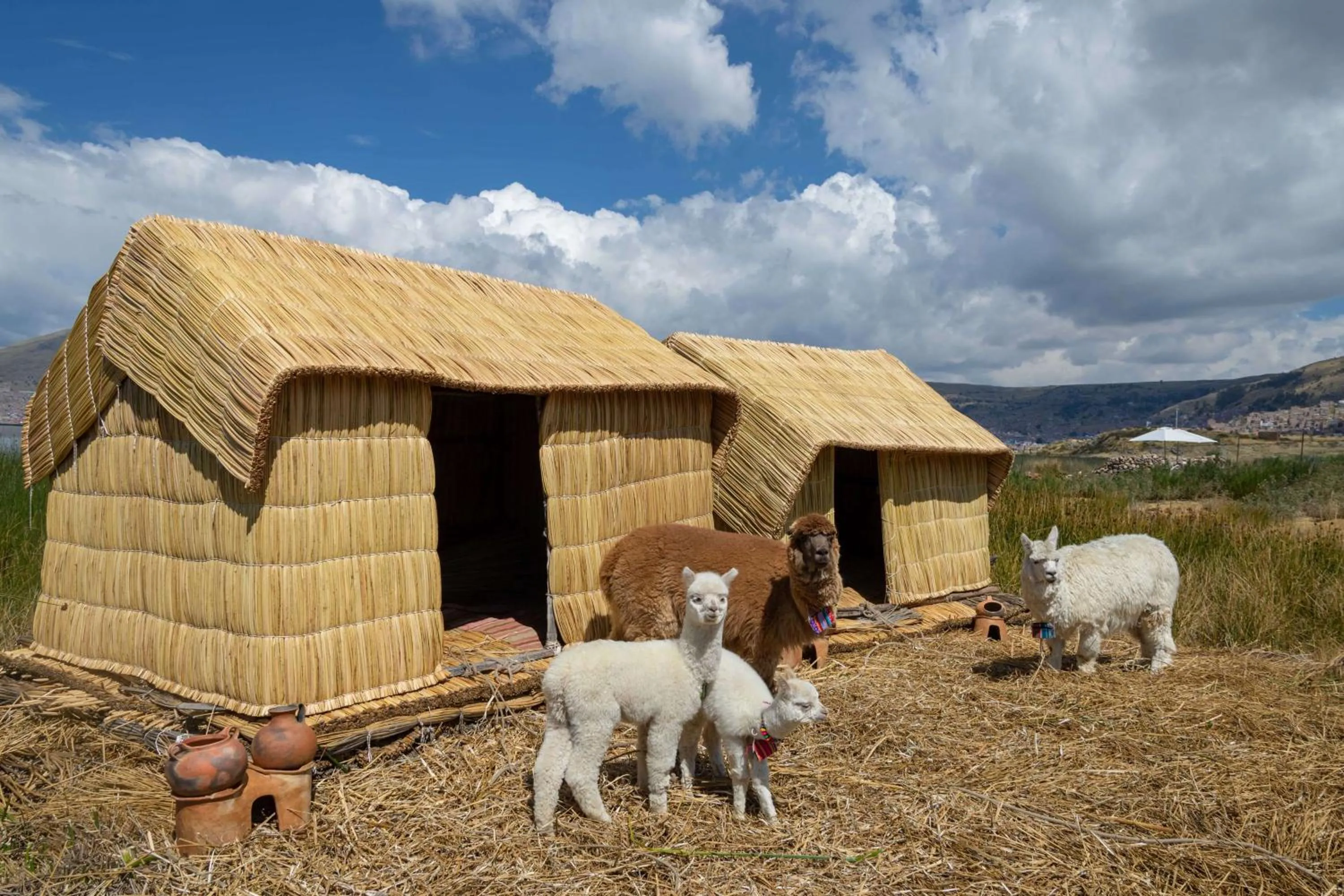 Off site in Sonesta Posadas del Inca Puno