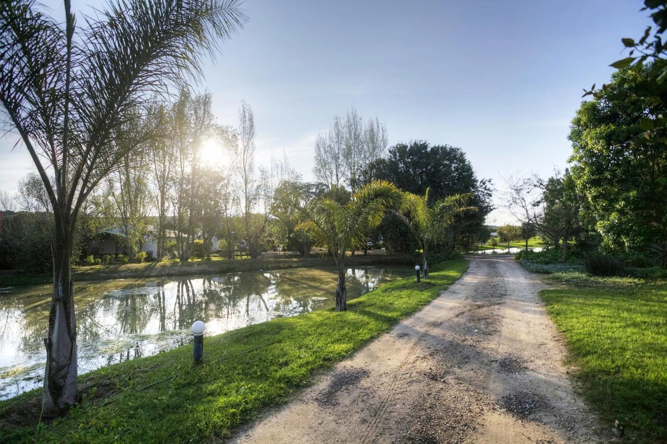 Garden in De Old Drift Guest Farm