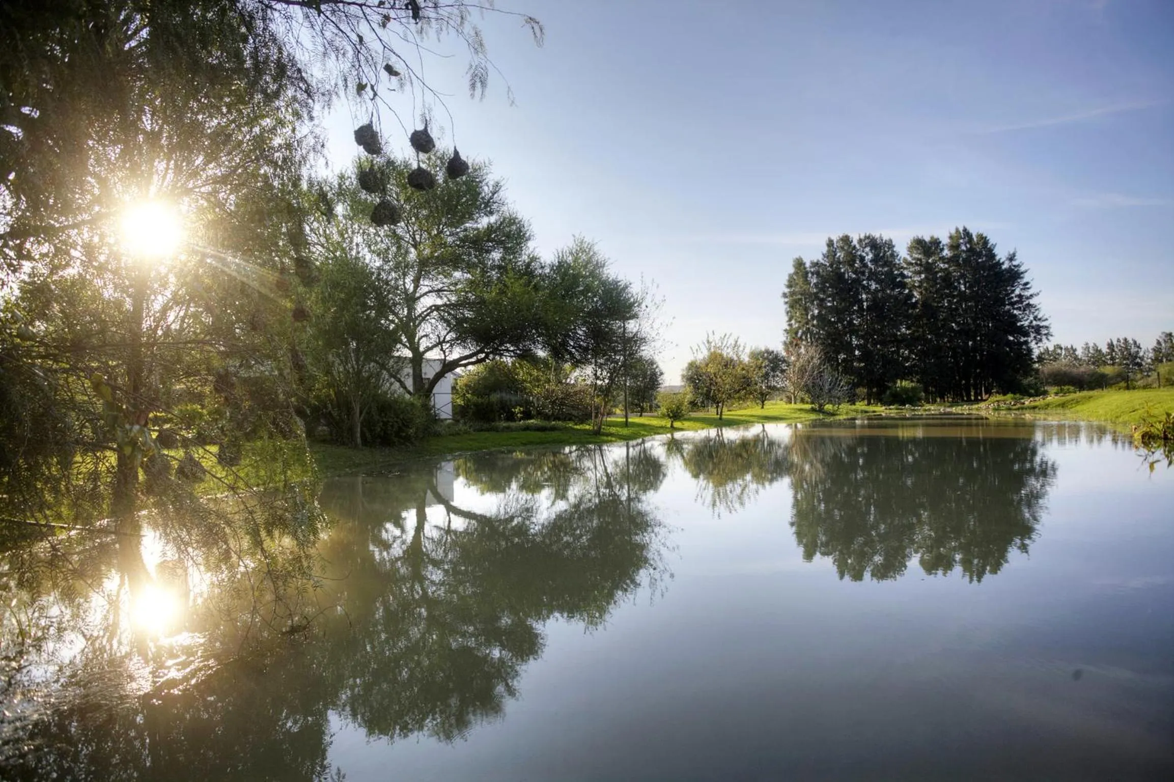 Other in De Old Drift Guest Farm