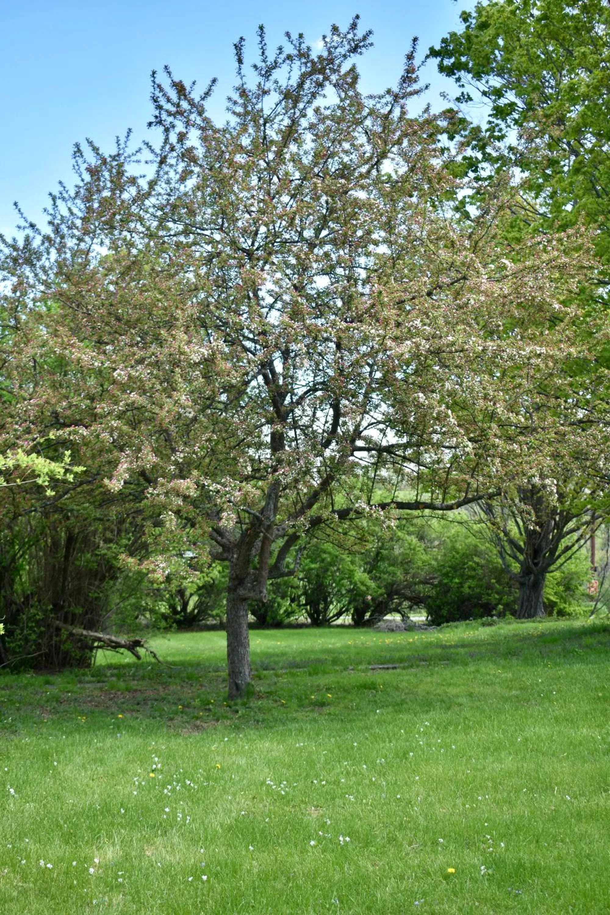 Harbour House Inn B&B