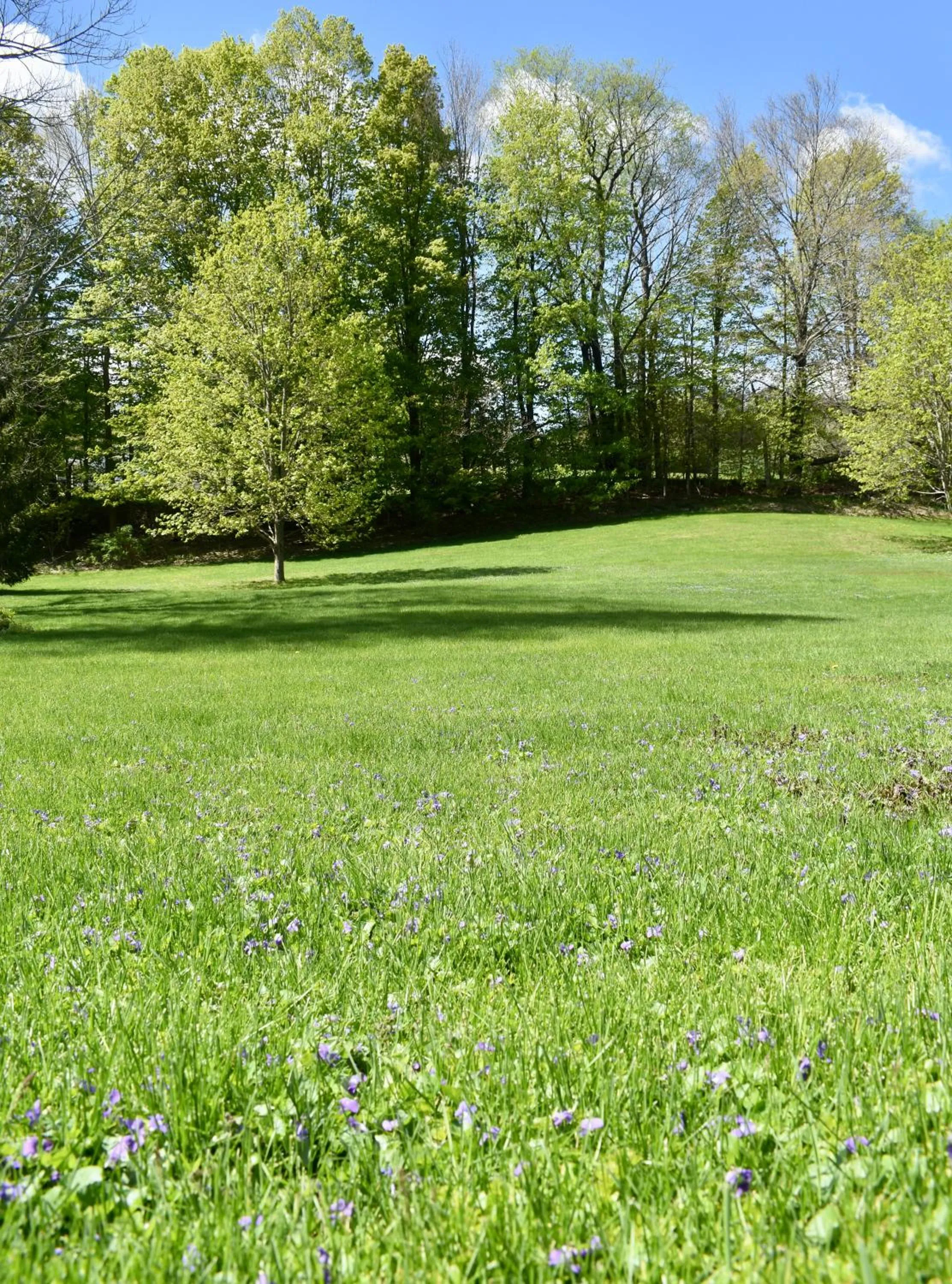 Harbour House Inn B&B