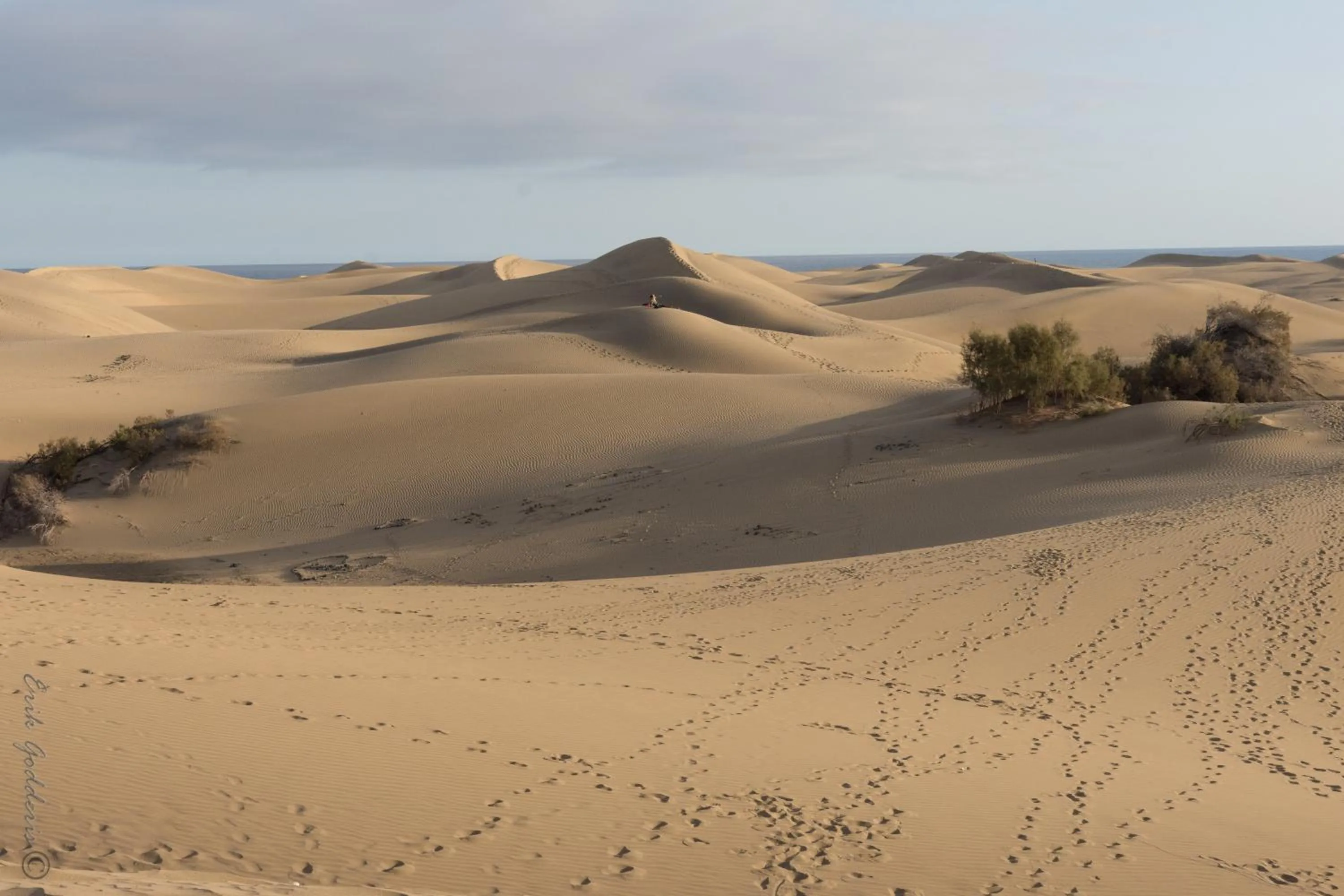 Natural landscape in Hotel Emblemático Arucas