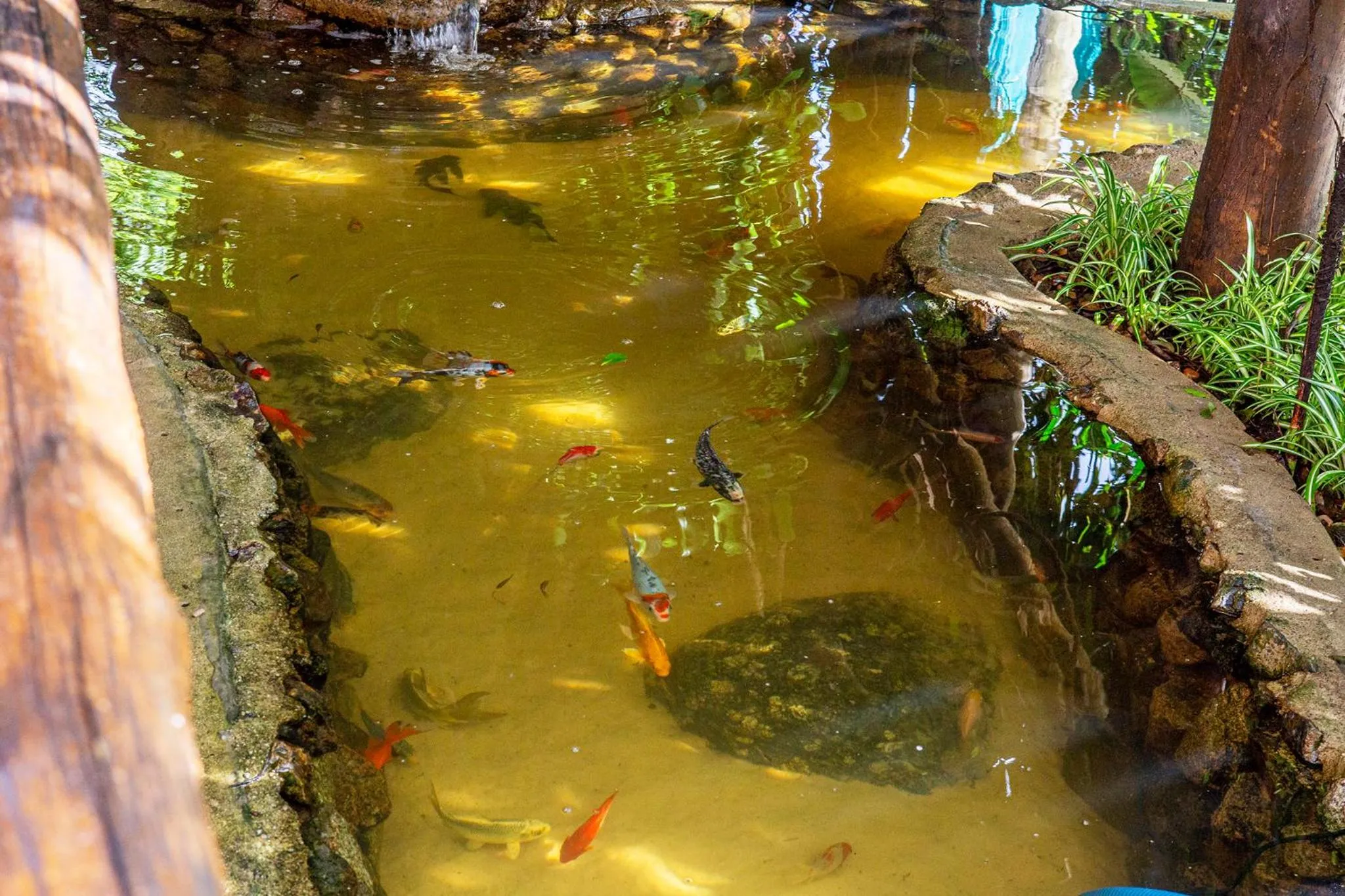 Natural landscape in Hotel Alemão Beach de Ilhabela