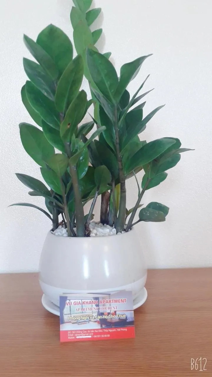 Vu Gia Khanh Apartment