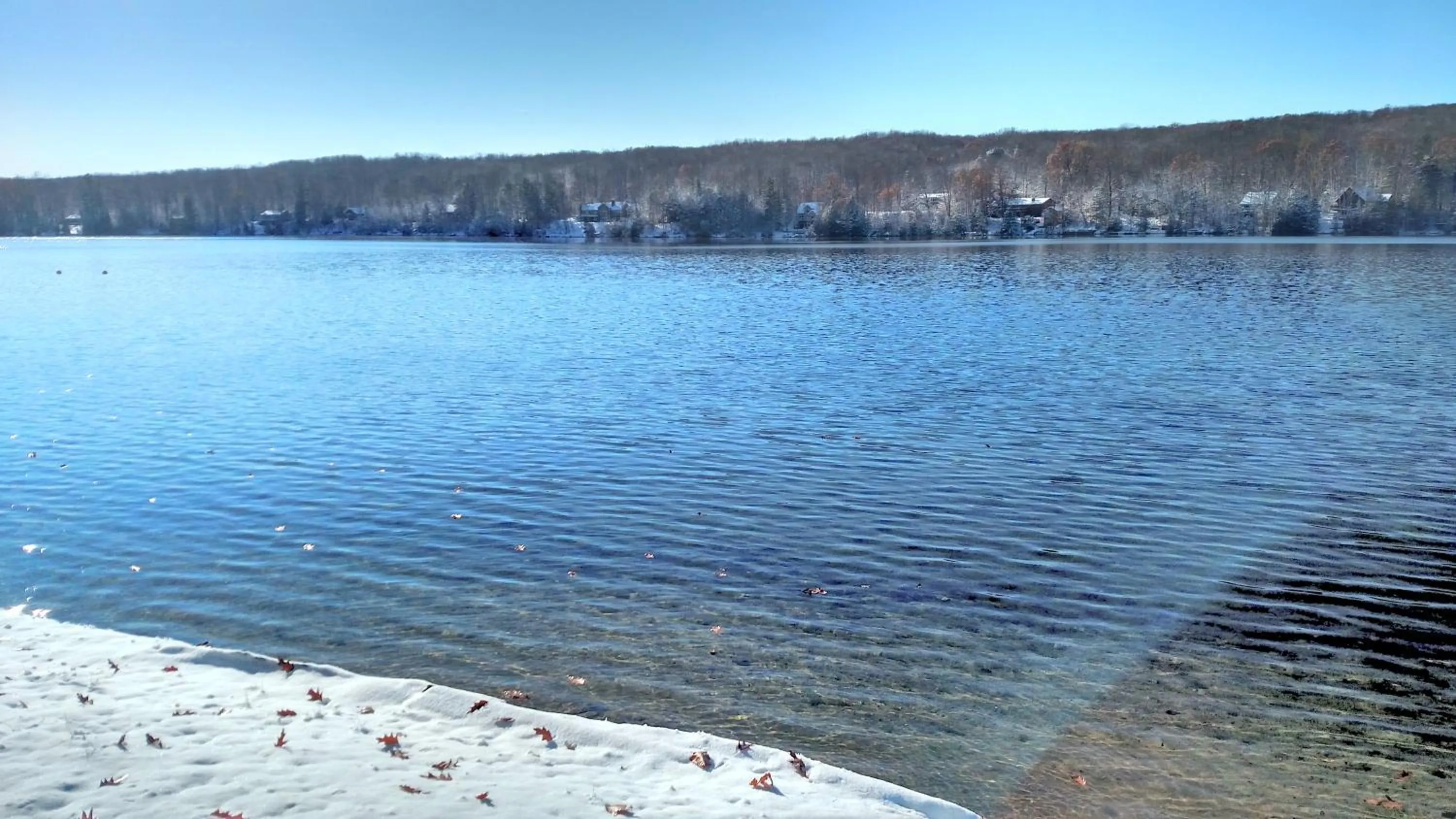Winter in Log Cottage on Blue Lake
