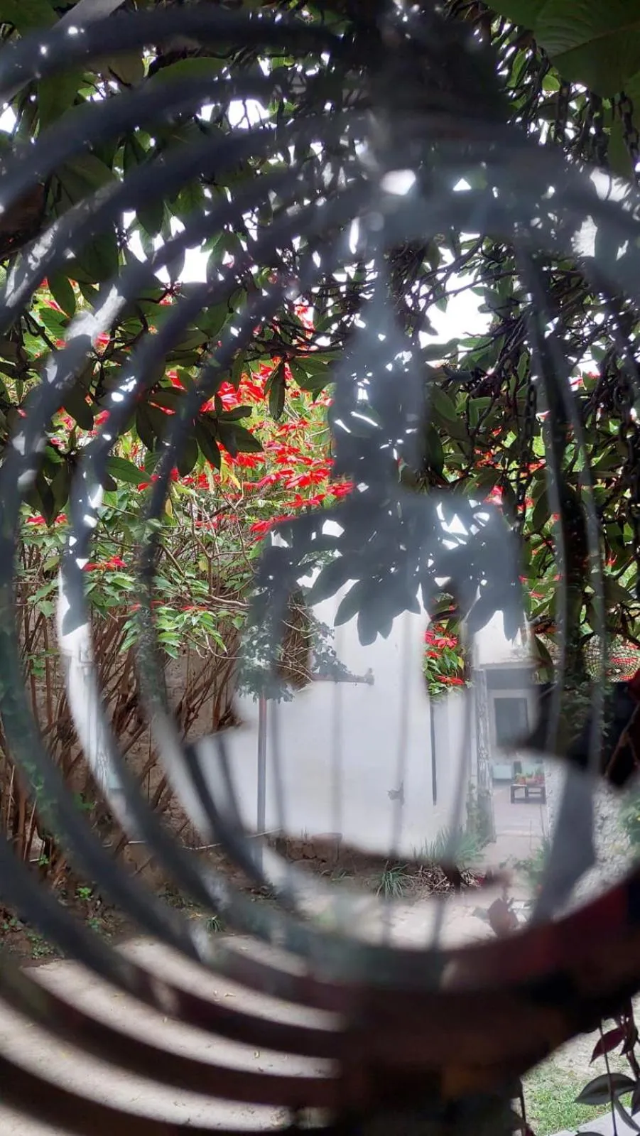 Garden view in Samsara Hotel Salta