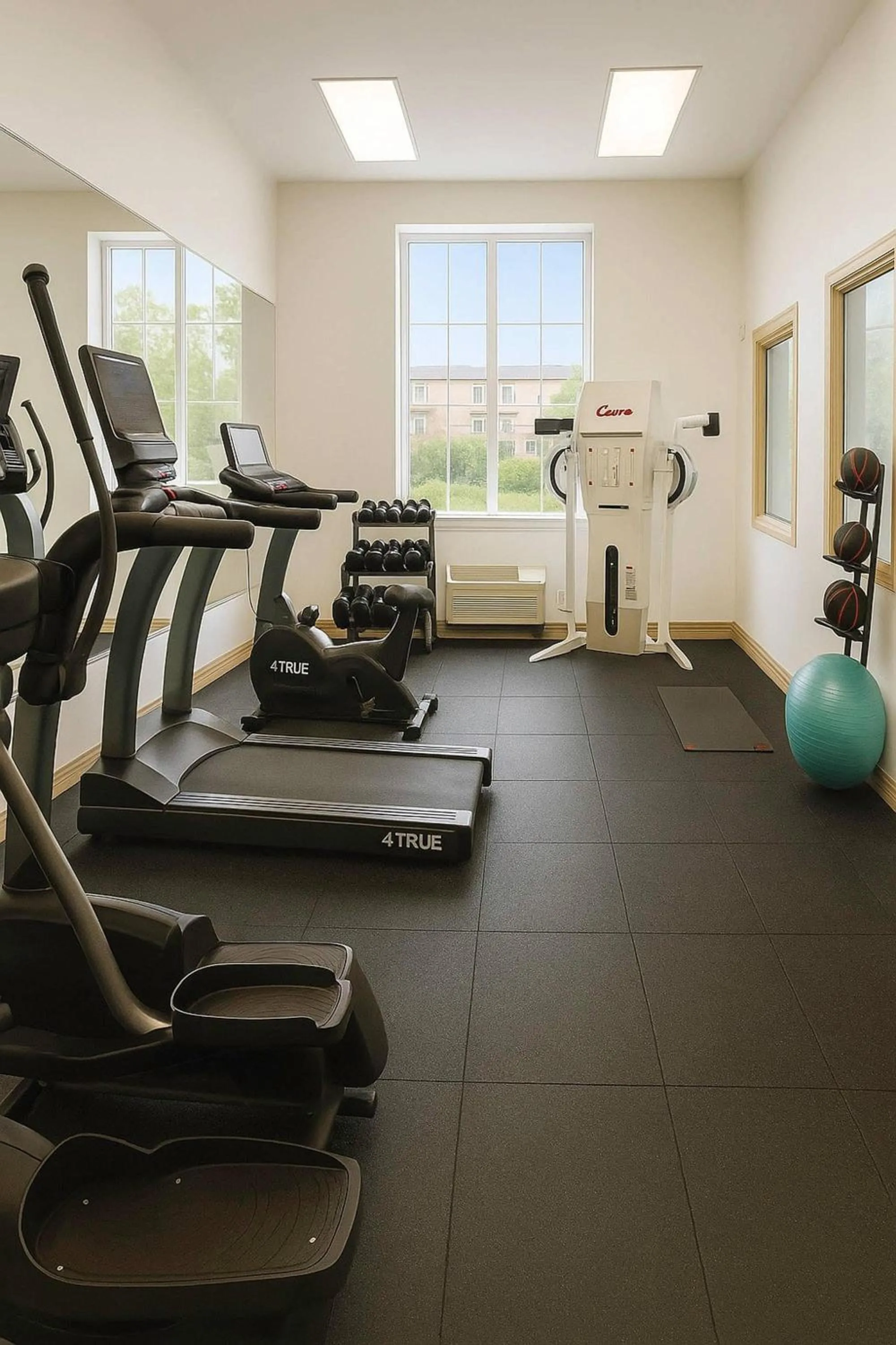Fitness centre/facilities in Clarion Inn Idaho Falls Riverfront
