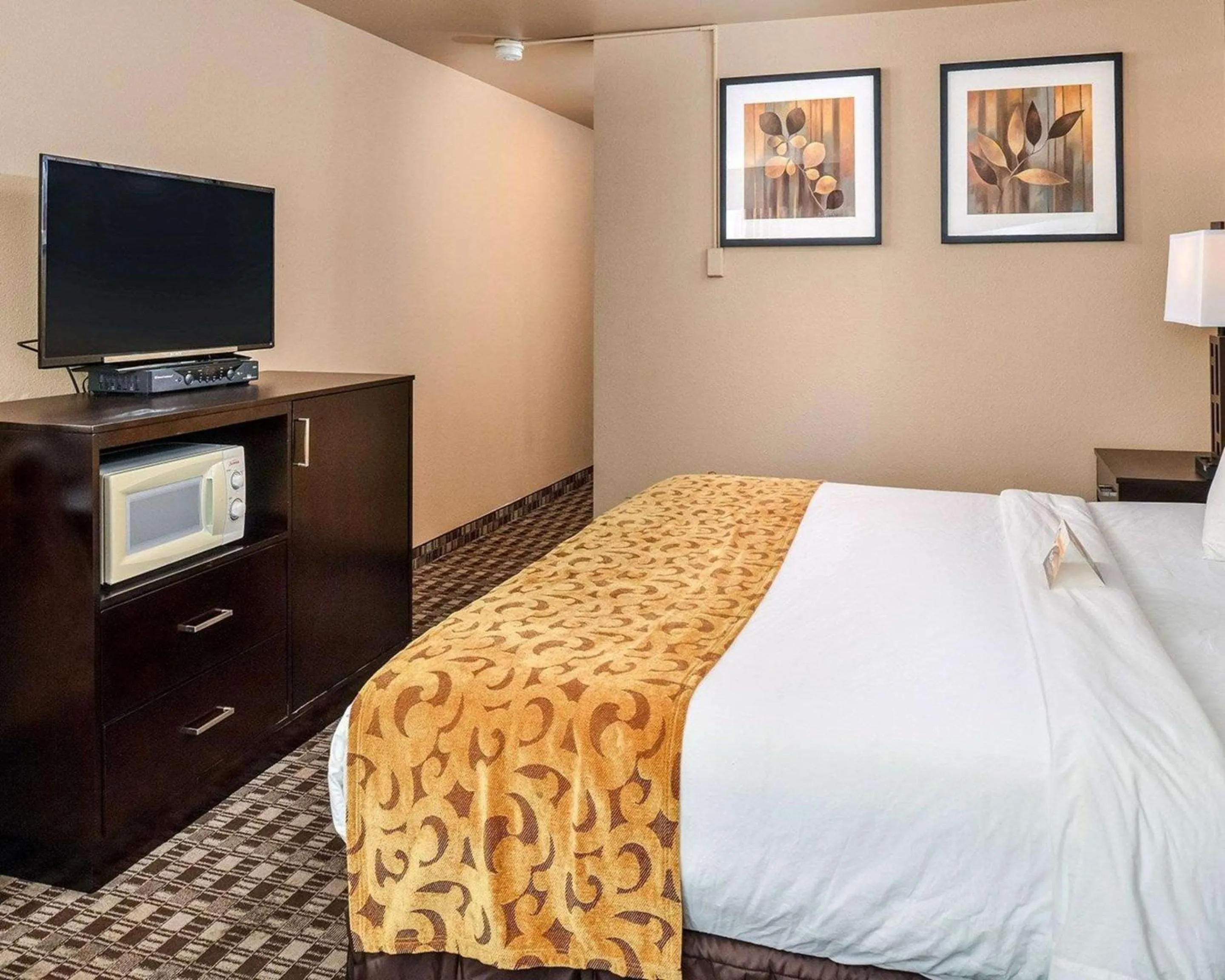 Photo of the whole room in Quality Inn Hotel, Kent - Seattle