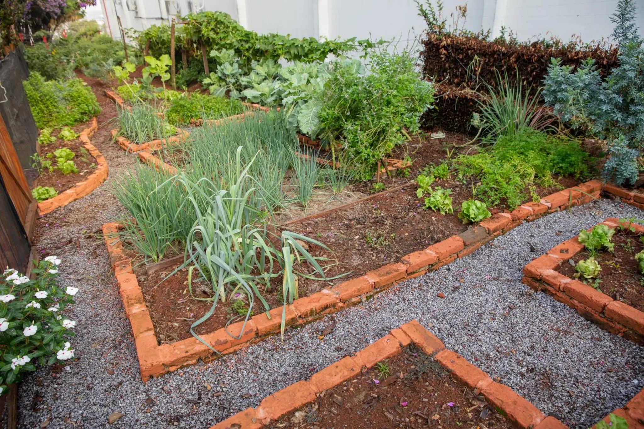 Fênix Hotel Varginha