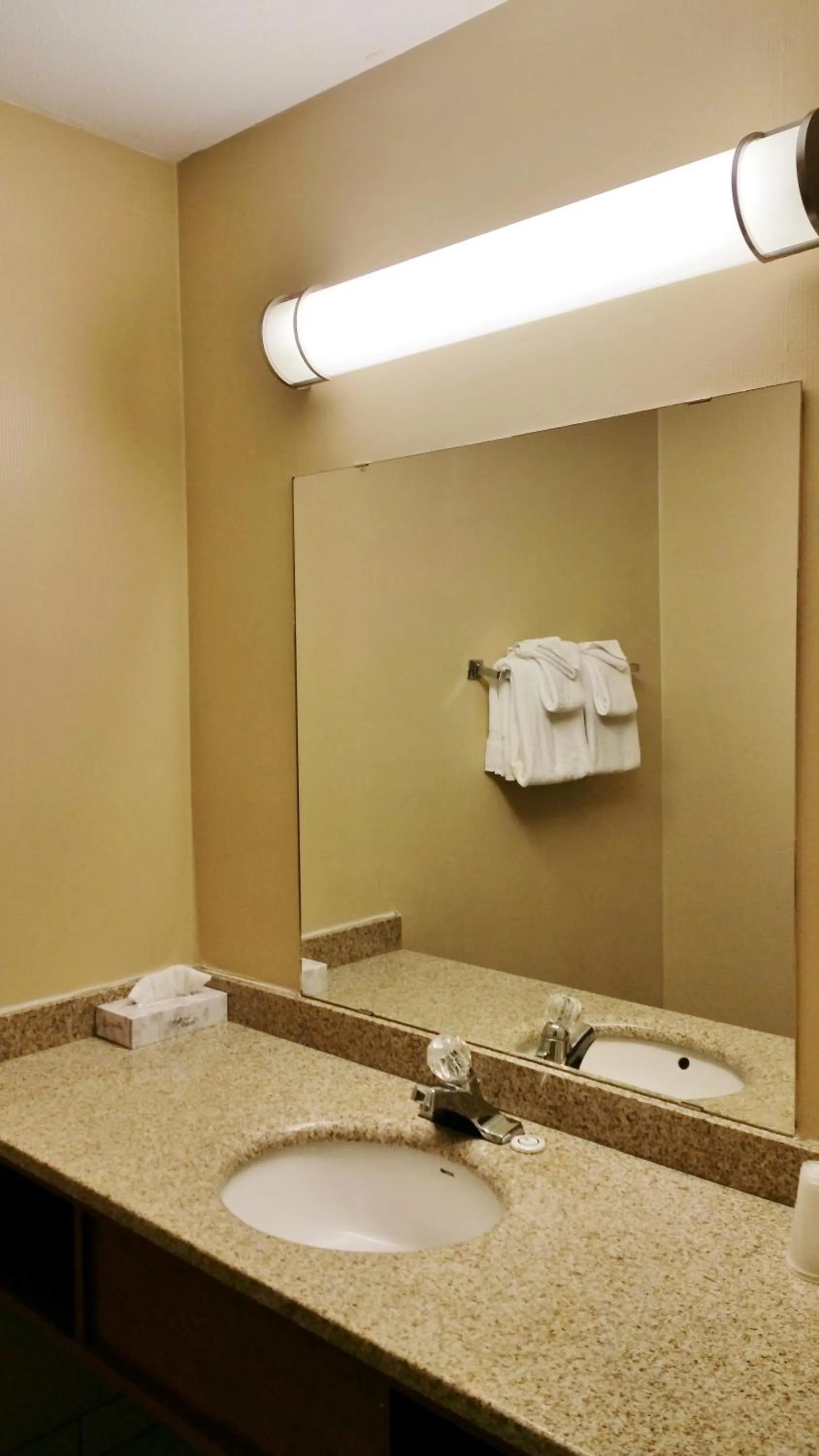 Other in Alpine Motel