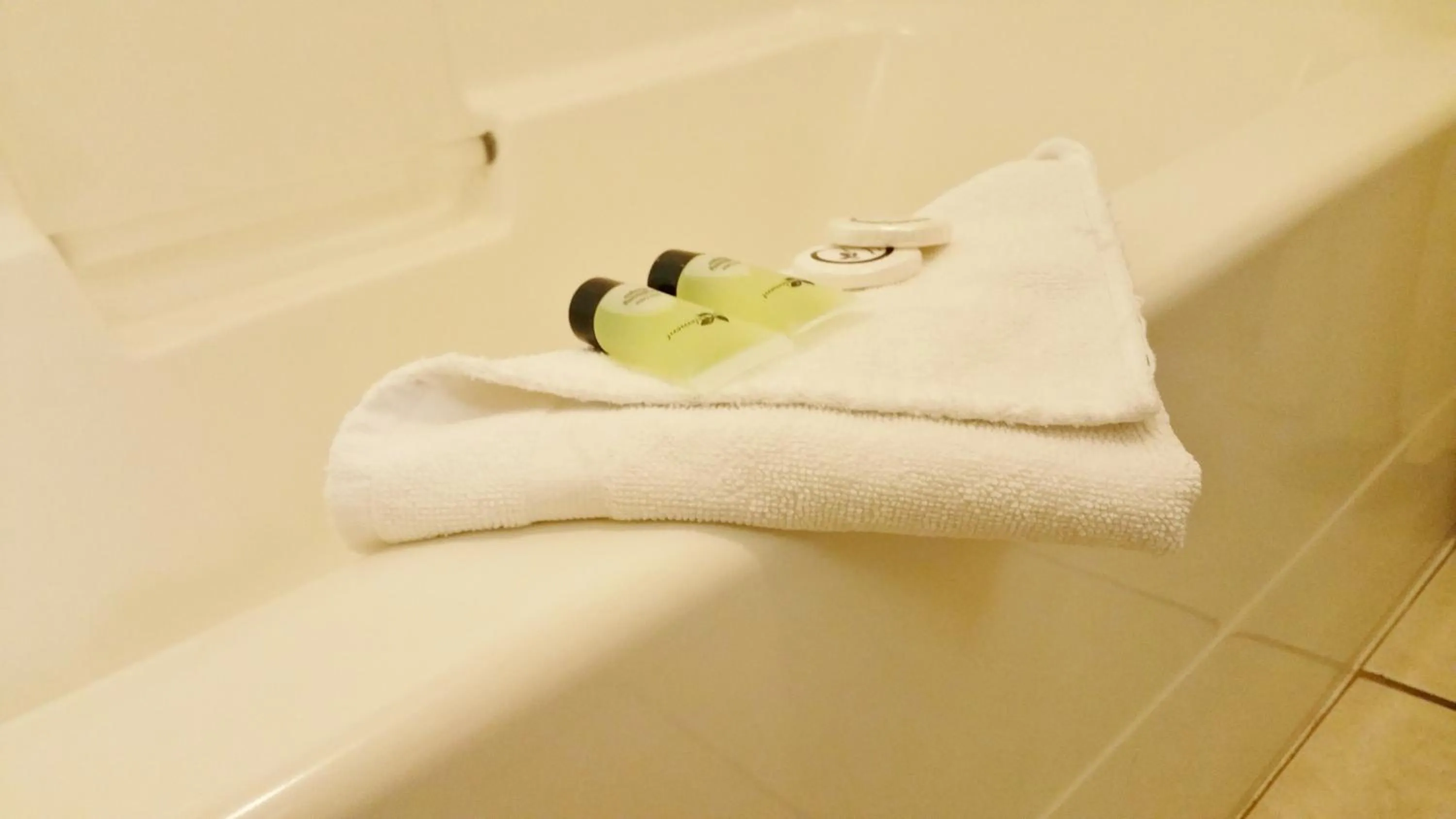 Other in Alpine Motel