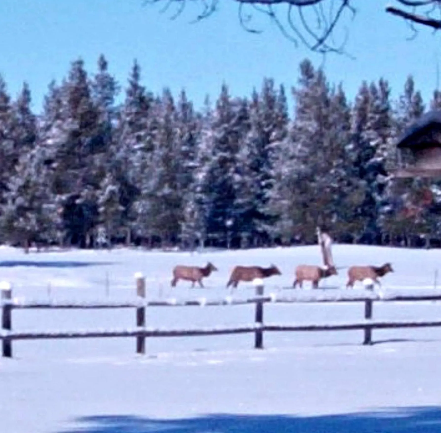 View (from property/room) in DiamondStone Guest Lodges