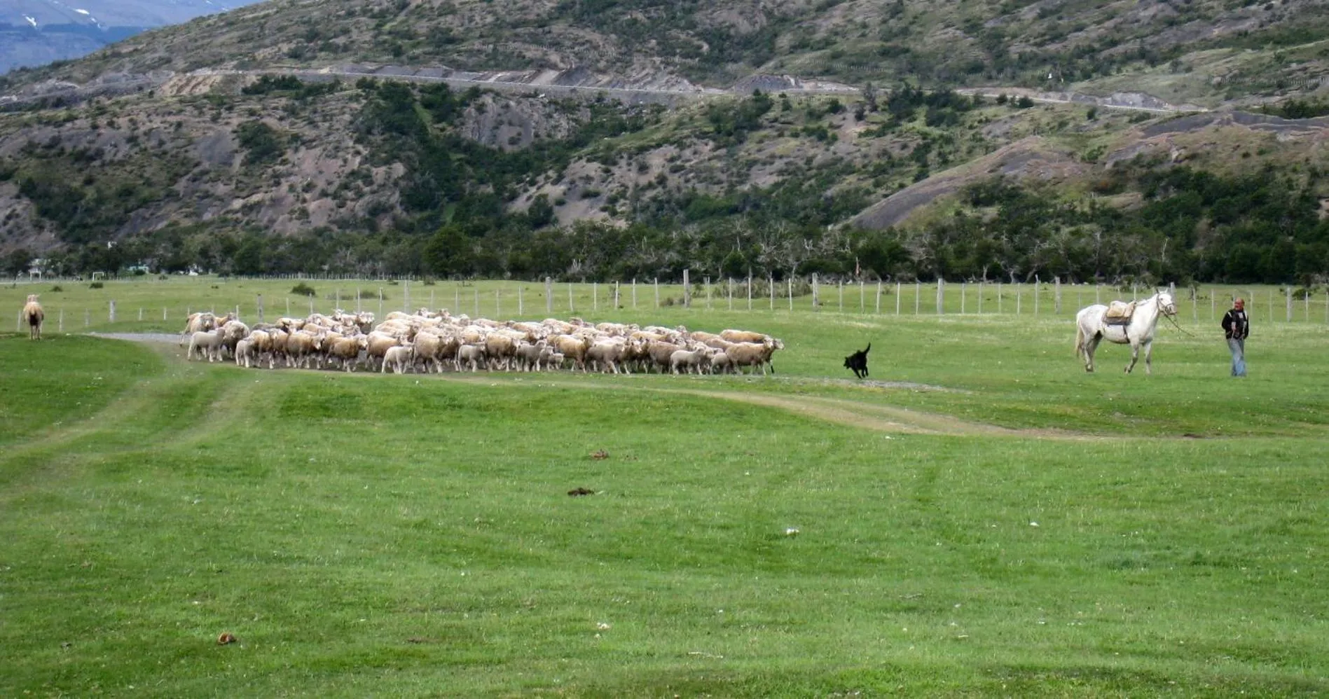 Vista al Paine - Refugio de Aventura