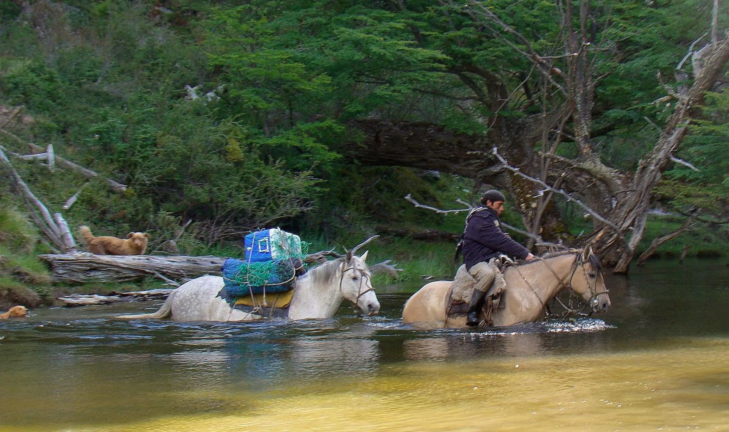 Vista al Paine - Refugio de Aventura