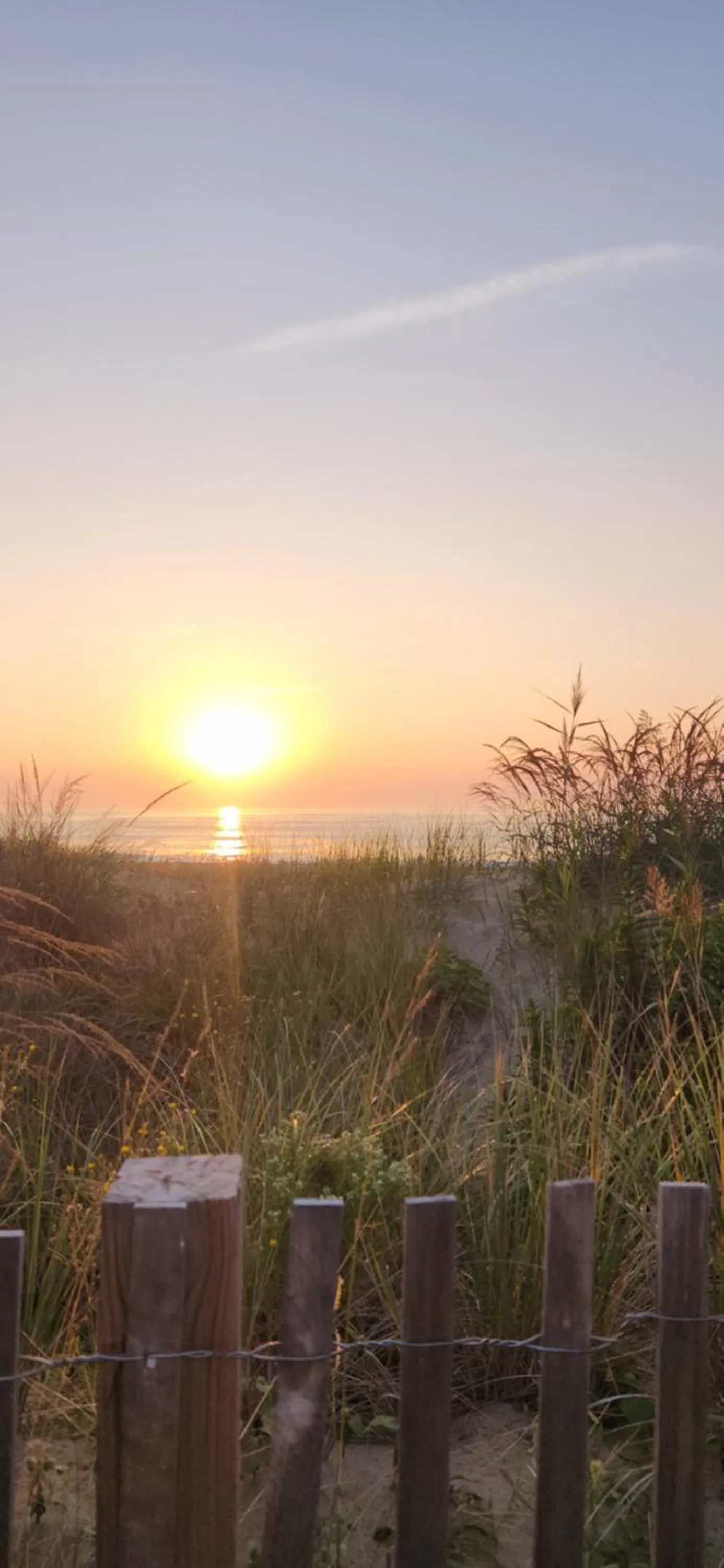 Beach in Flamingo Motel