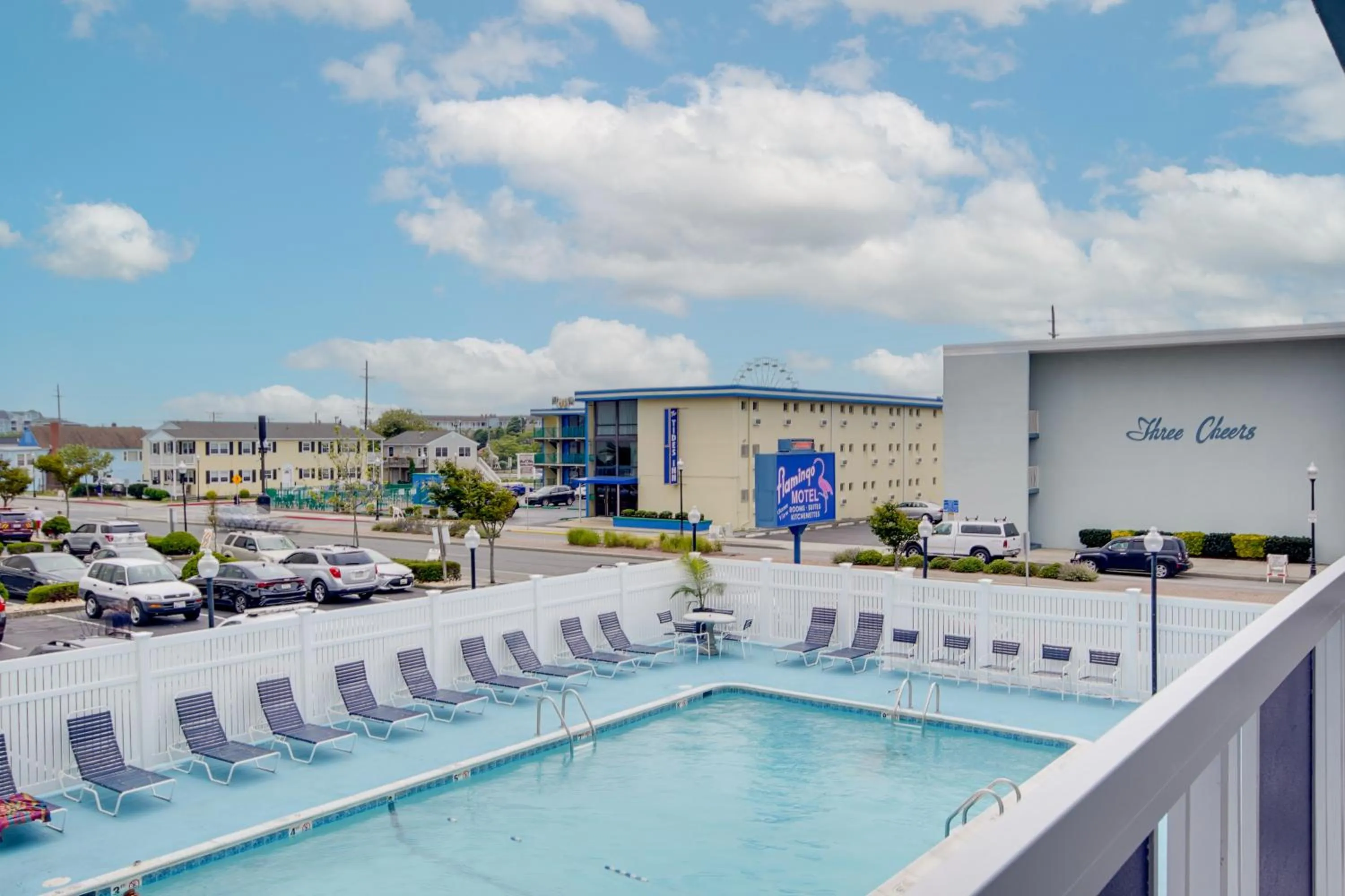 Swimming pool in Flamingo Motel