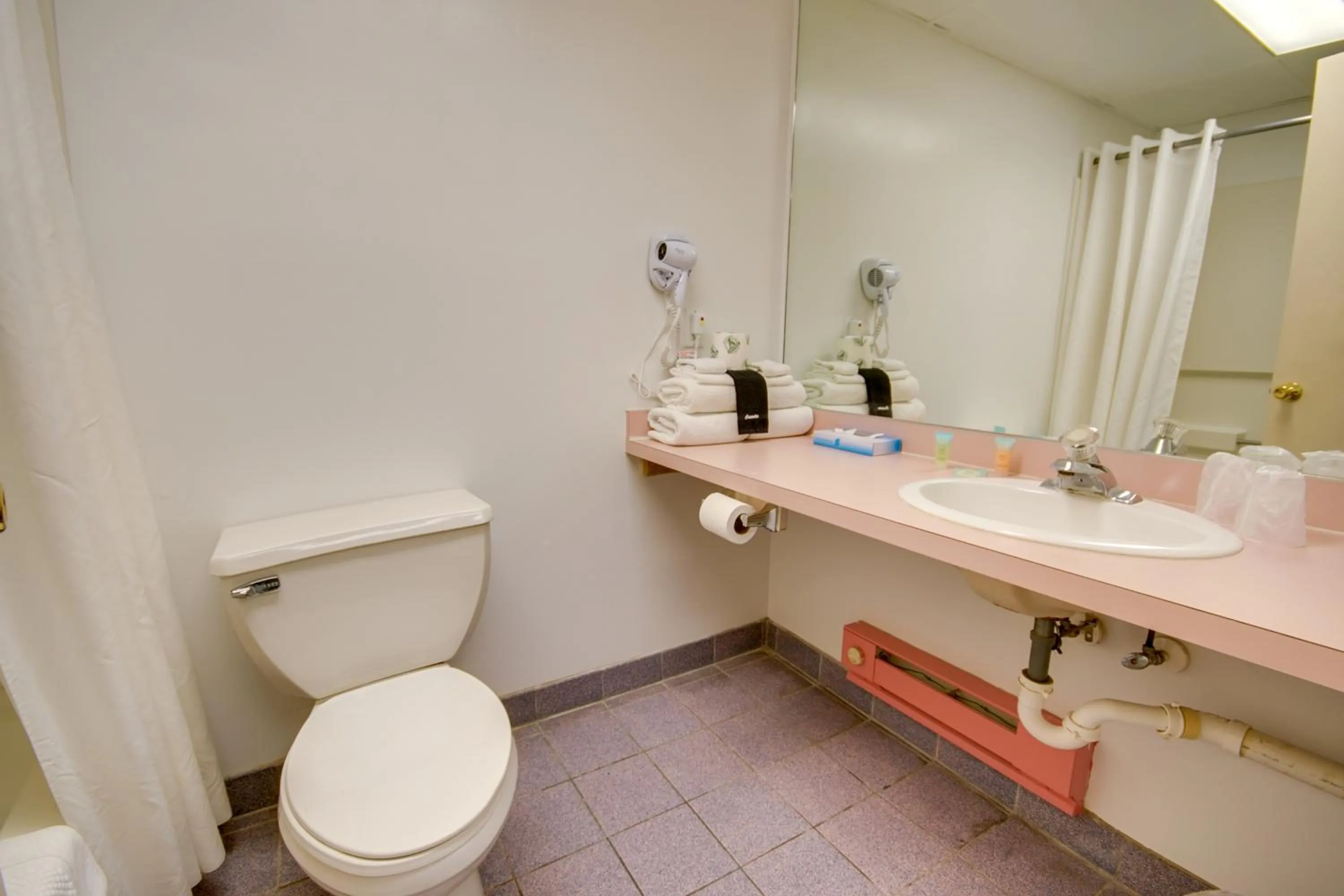 Bathroom in Flamingo Motel