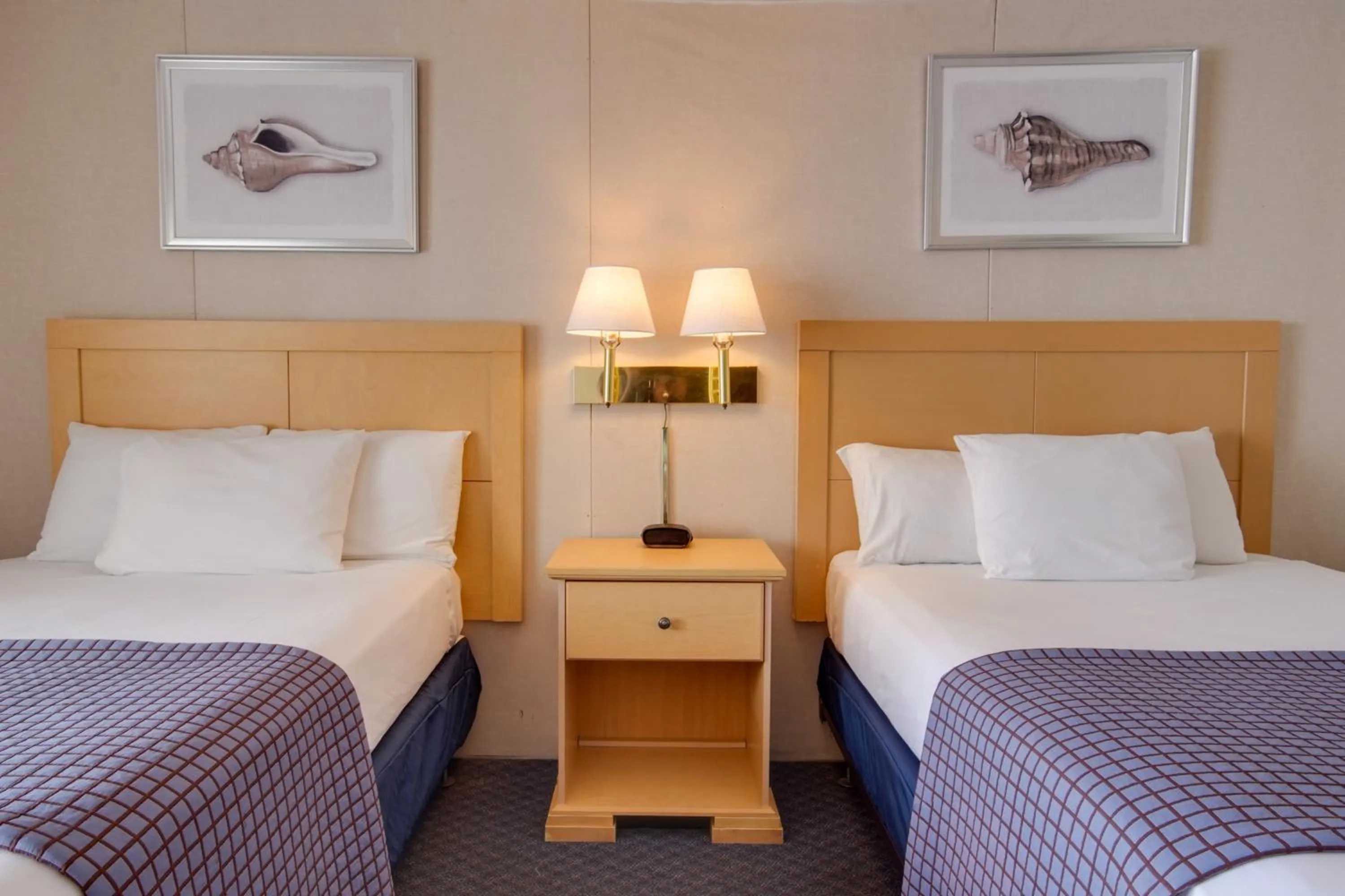 Bed in Flamingo Motel