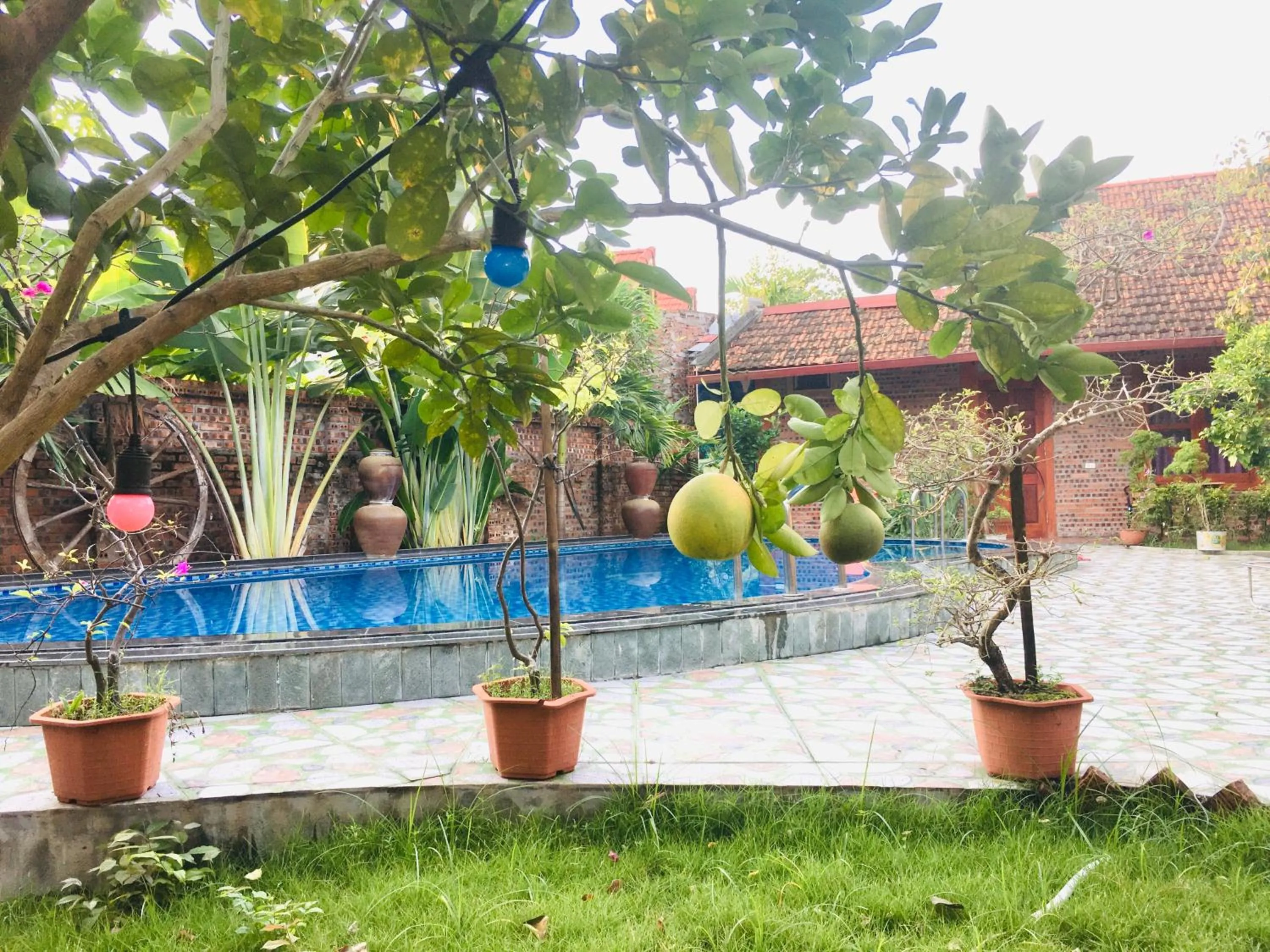 Garden view in Tam Coc Thanh Dat Homestay