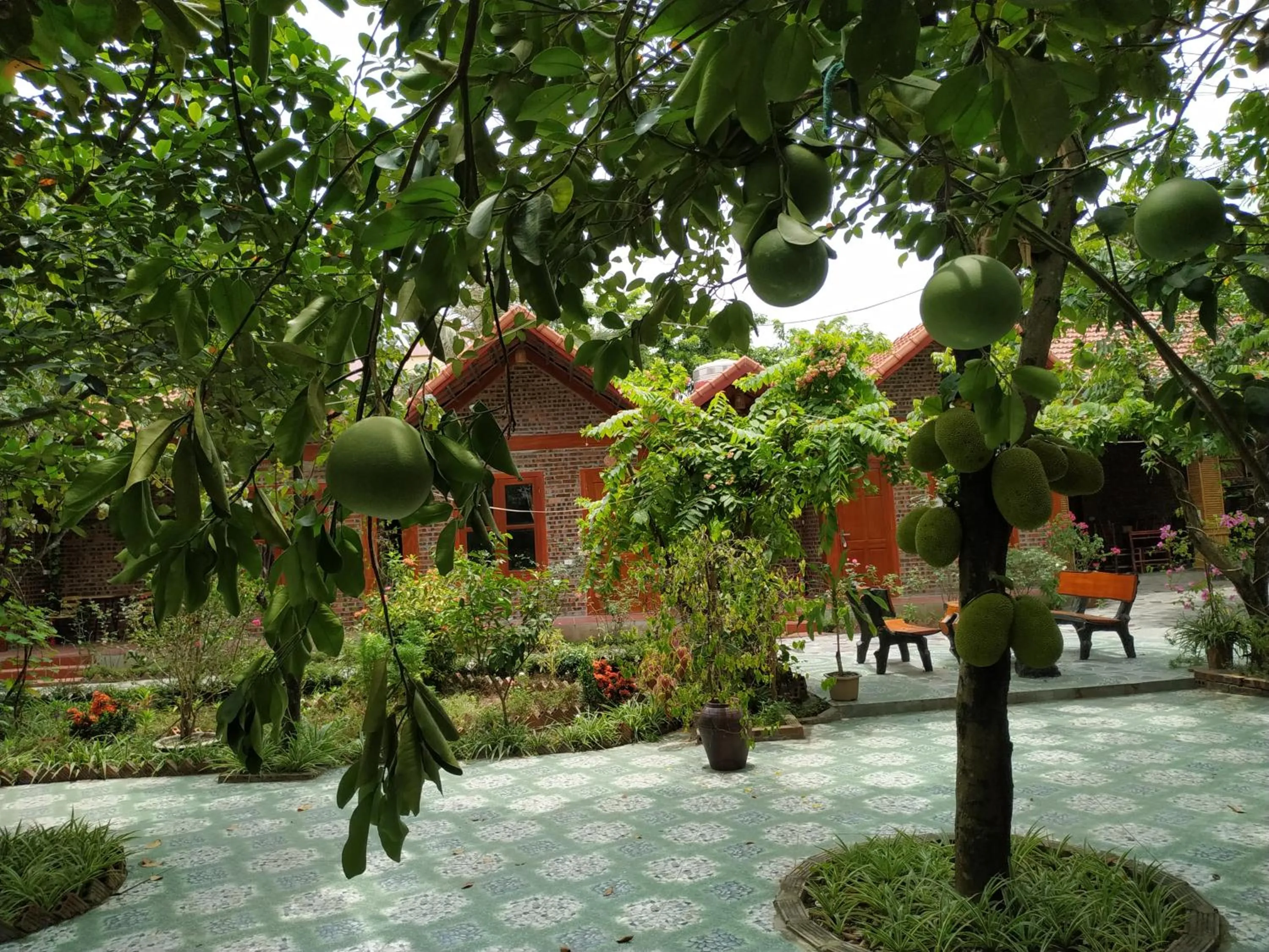 Garden in Tam Coc Thanh Dat Homestay
