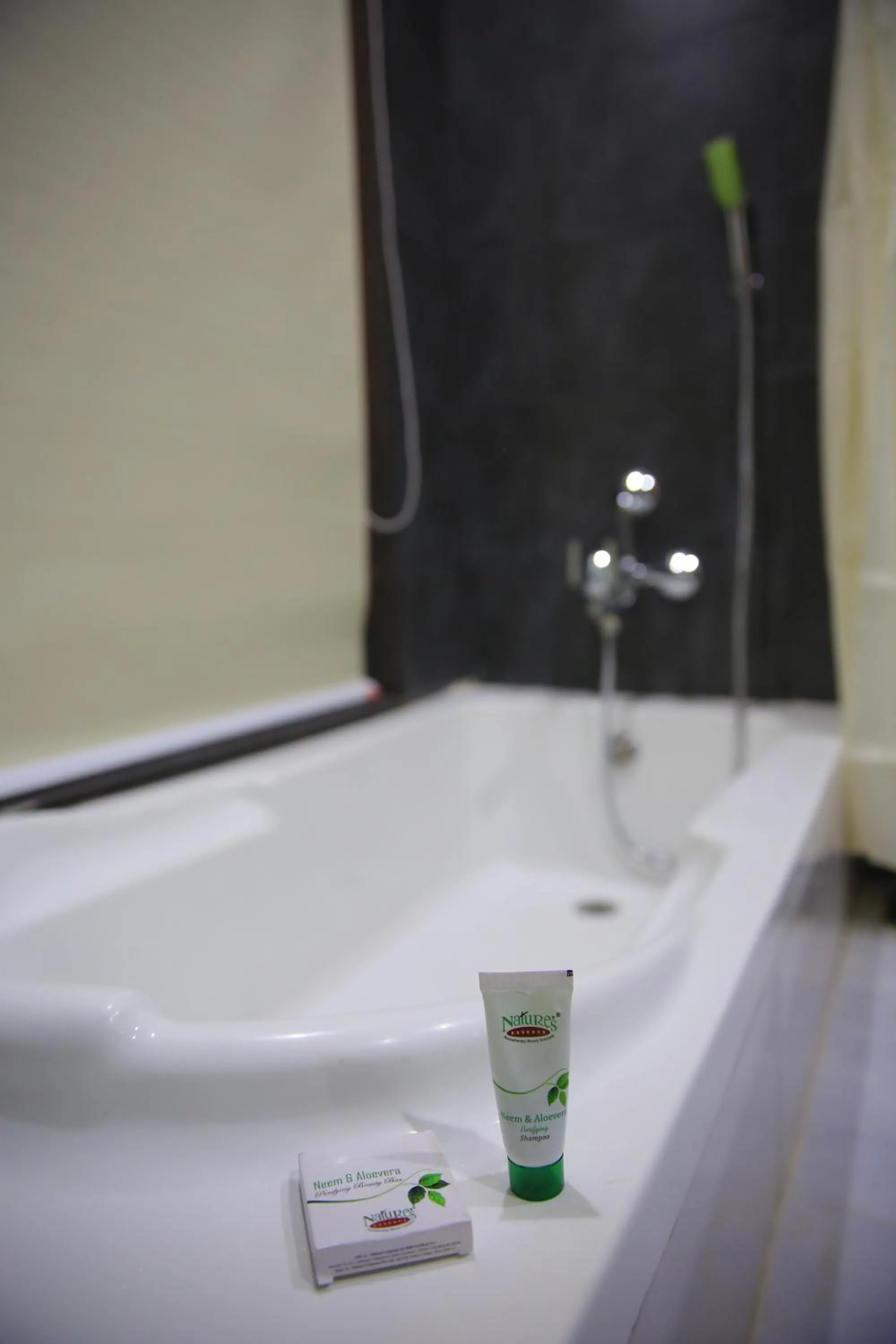 Decorative detail in The Grand Raveta